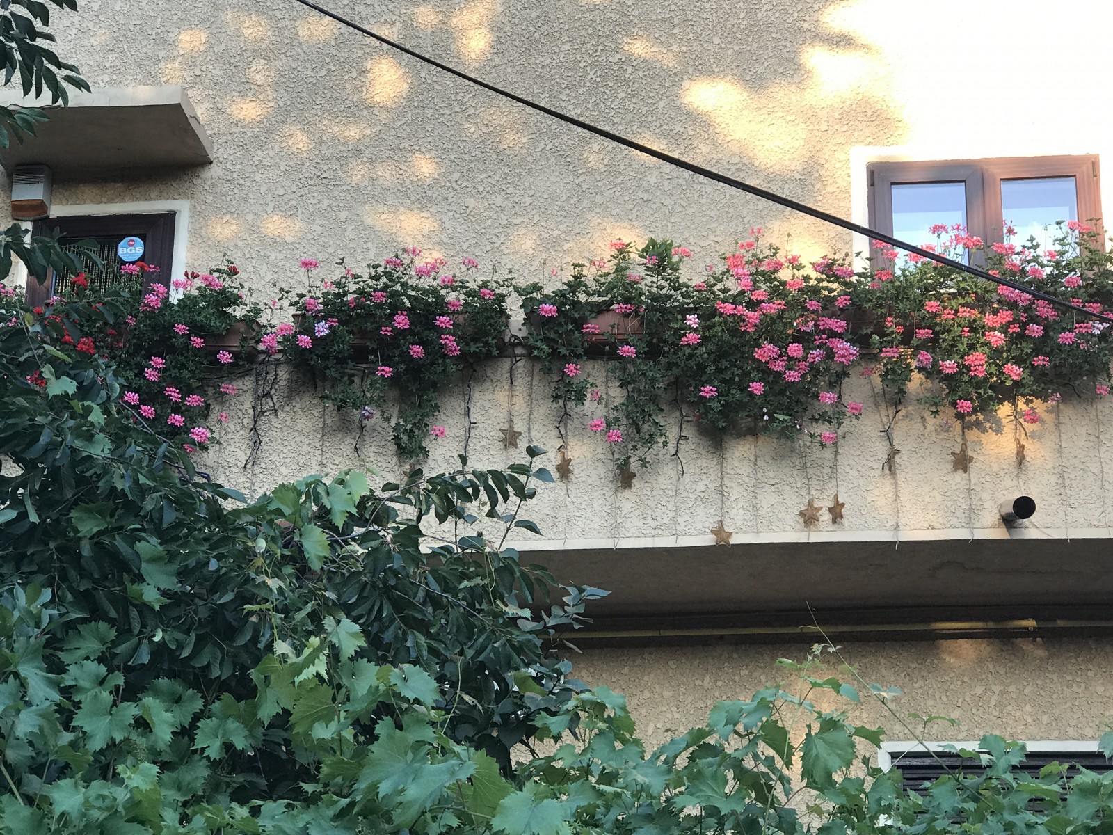 Primăria Capitalei a anunţat câştigătorii Concursului ”Cea mai frumoasă faţadă” GALERIE FOTO