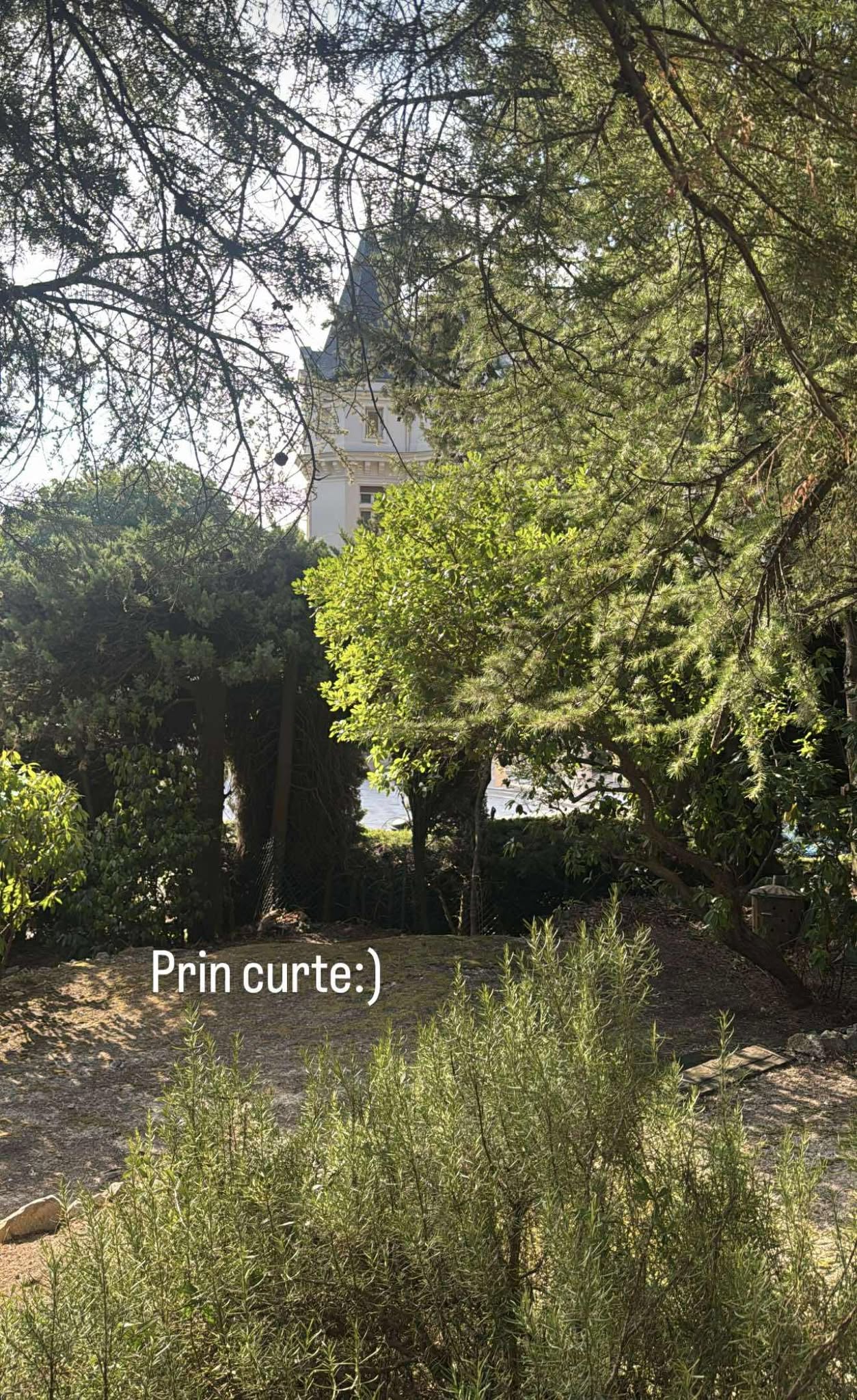 Imagini cu casa de vacanță din sudul Franței a Andreei Esca. Vedeta PRO TV a arătat locuința familiei