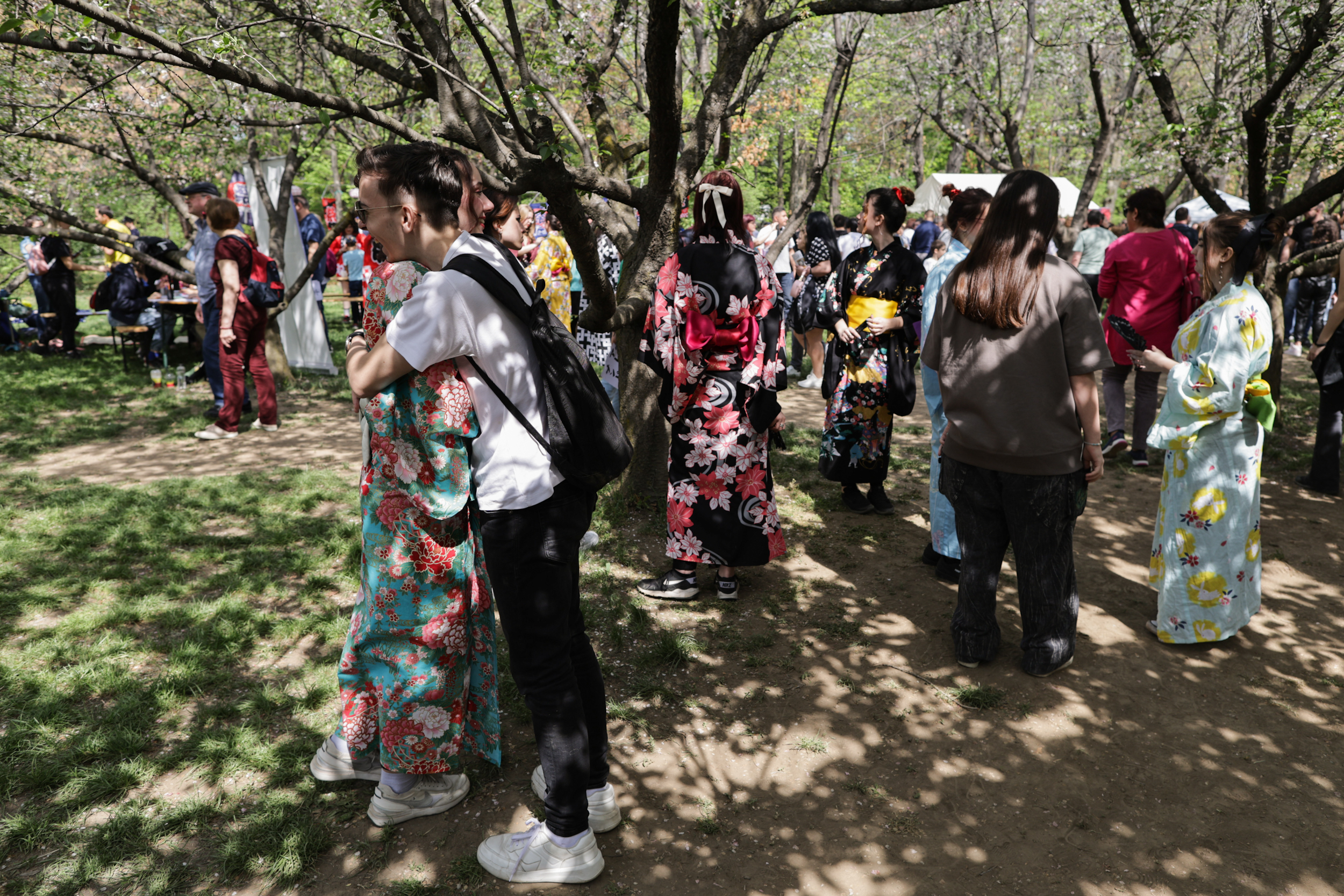 FOTO. Au înflorit cireșii în Grădina Japoneză din Parcul Herăstrău. Sute de persoane au asistat la „Festivalul Florilor de Cireș”