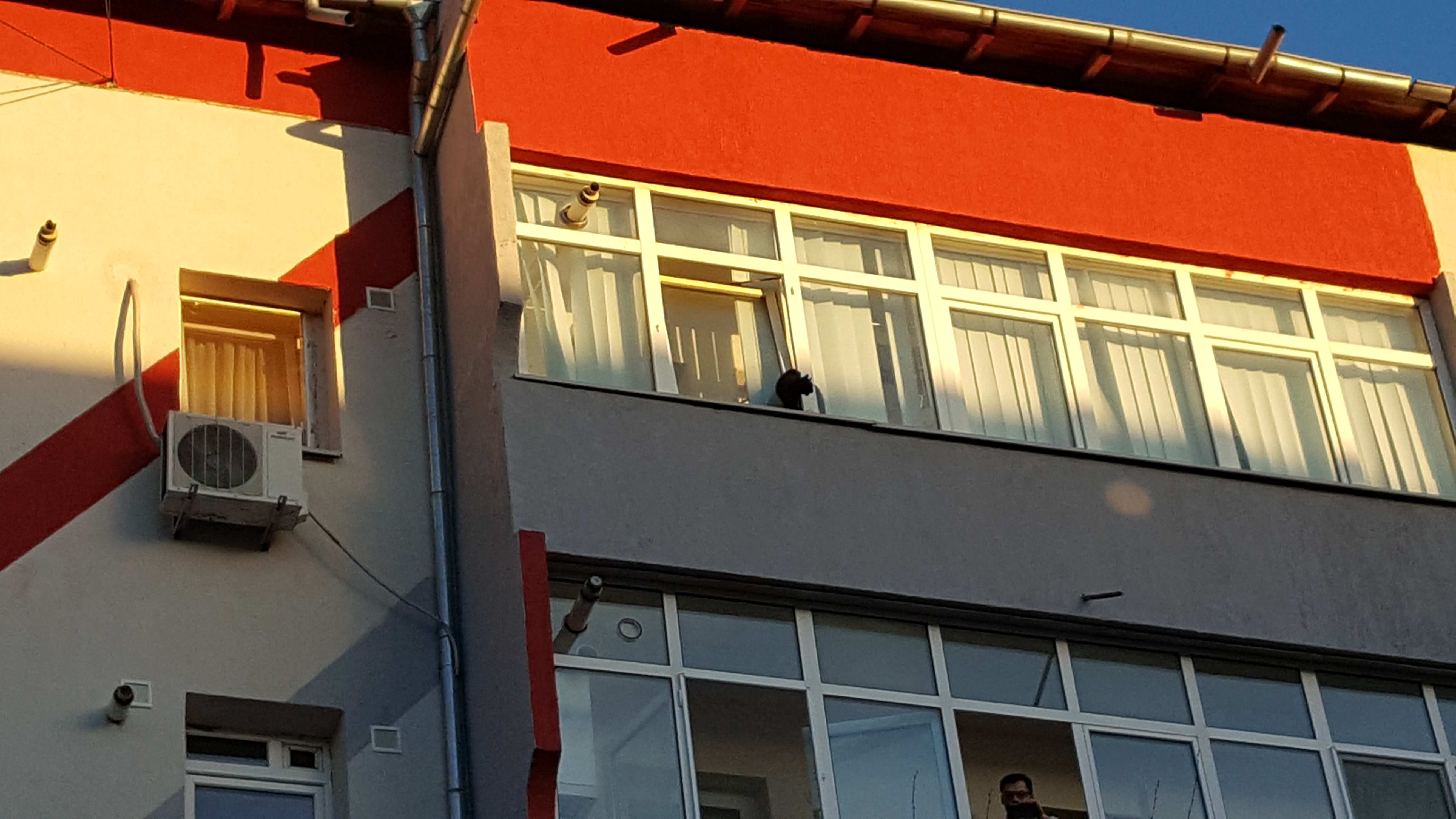 Desfăşurare impresionantă de forţe pentru salvarea unei pisici! GALERIE FOTO&VIDEO