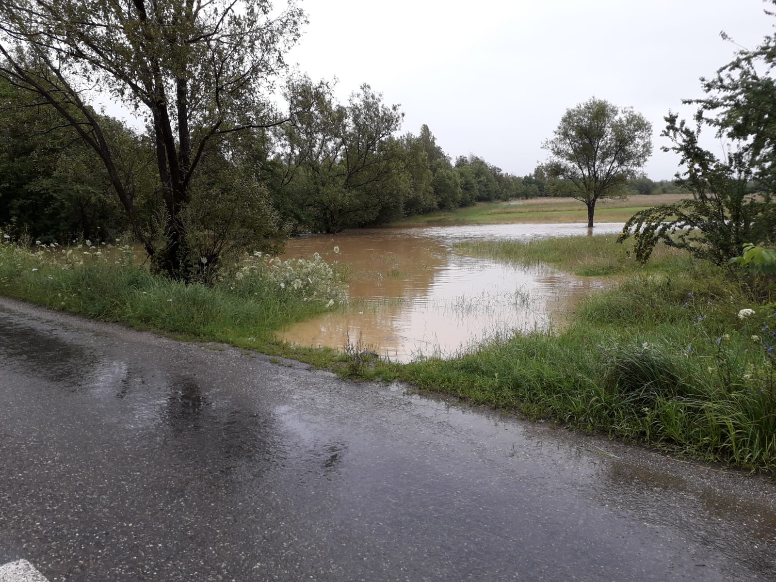 Mai multe gospodării din zona Făgărașului au fost inundate. Doi bolnavi au fost evacuați din case de către pompieri/ VIDEO&FOTO