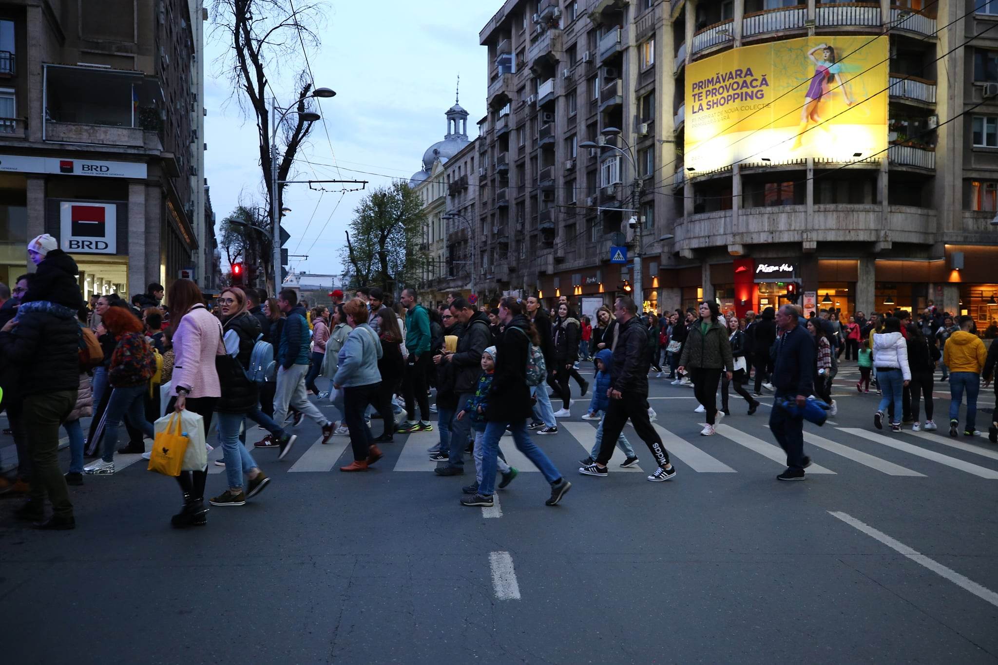 Spotlight 2023. Imagini spectaculoase surprinse pe Calea Victoriei de la festivalul luminilor