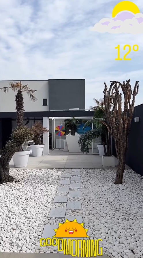 Imagini din curtea casei lui Dorian Popa, decorată cu pietre albe și palmieri. Nu are nici gazon, nici flori: „Am dat drumul la piscinică”