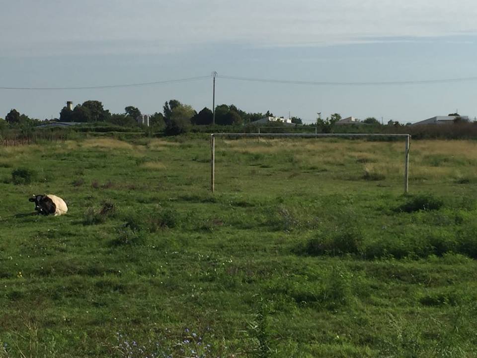 Unde a început Budescu fotbalul. Așa arată acum gazonul pe care a călcat prima dată! | FOTO
