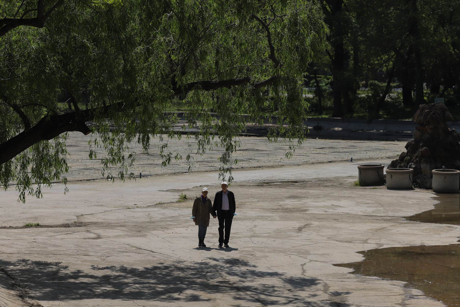 Parcurile administrate de Primăria Capitalei vor arăta mai bine vara aceasta, promite Nicușor Dan