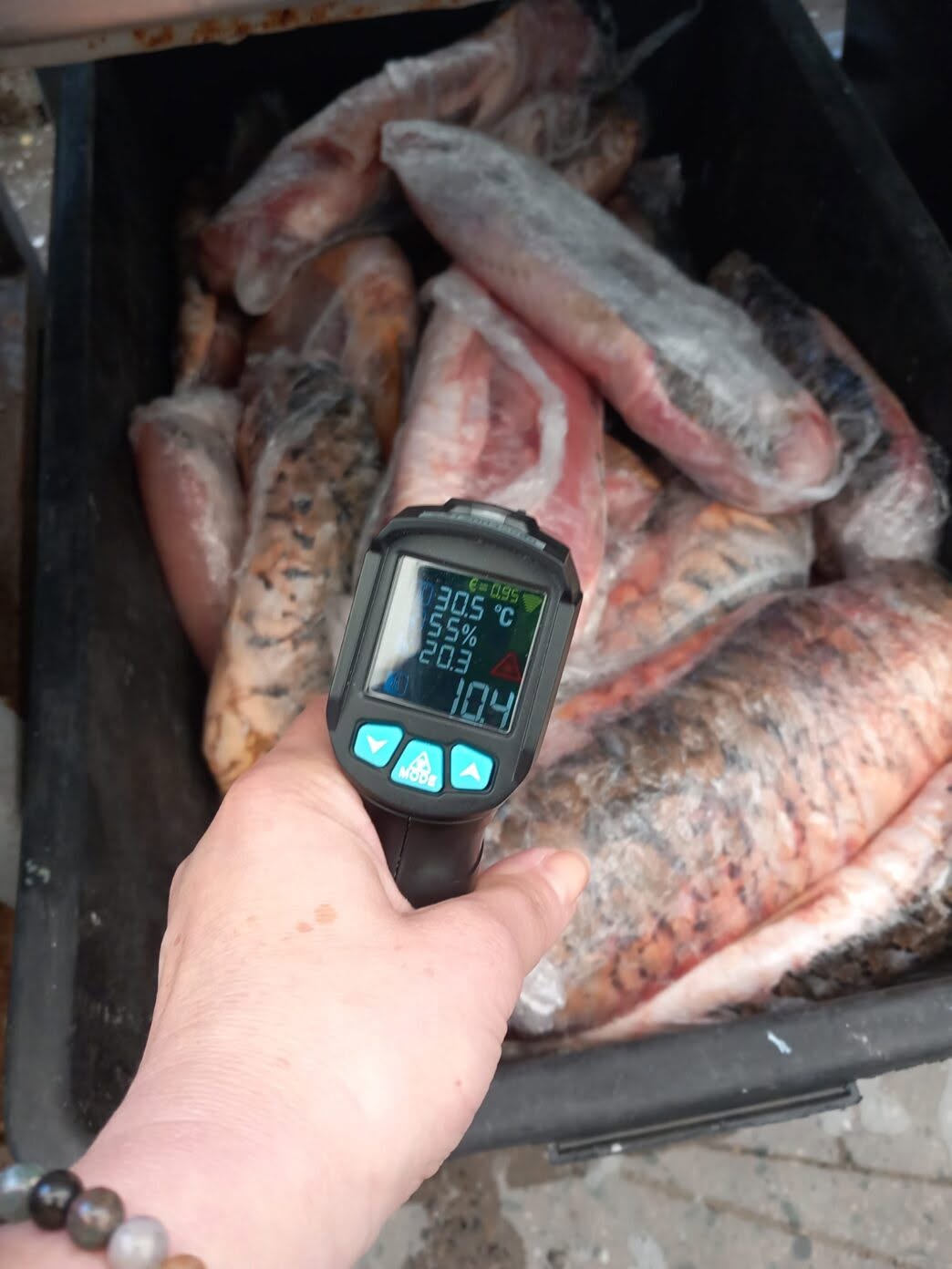 Amendă de 10.000 de lei și 94 kg de alimente retrase de la restaurantul Golful Pescarilor, de lângă Constanța. De ce au închis inspectorii localul | VIDEO