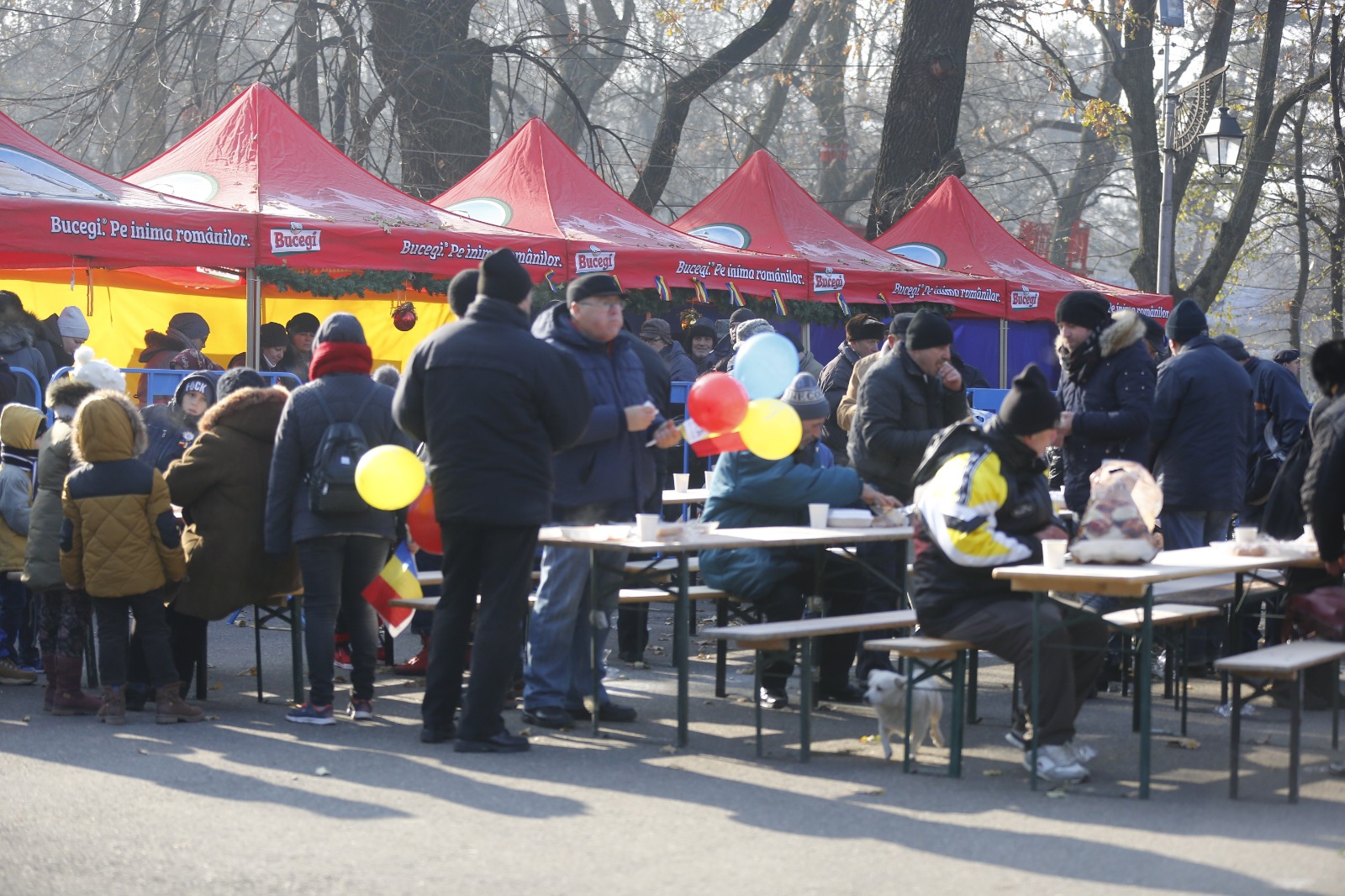 FOTO/ Tricolor de 200 de metri confecționat de elevii unei comune din Buzău, purtat pe străzi de Ziua Națională