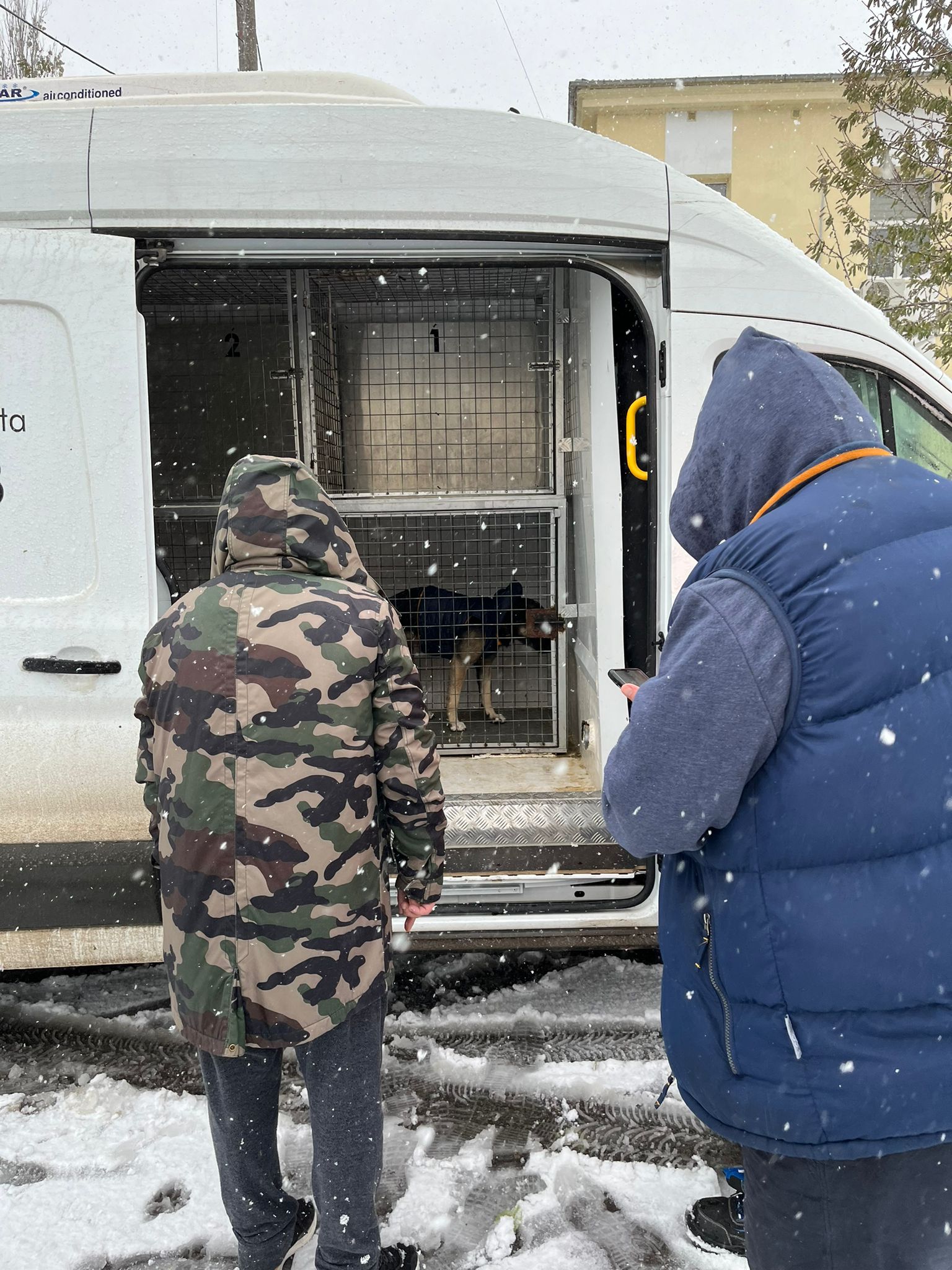 Un om fără adăpost a cerut ajutor pentru el și câinele lui din cauza viscolului. Cum au reacționat polițiștii din Constanța