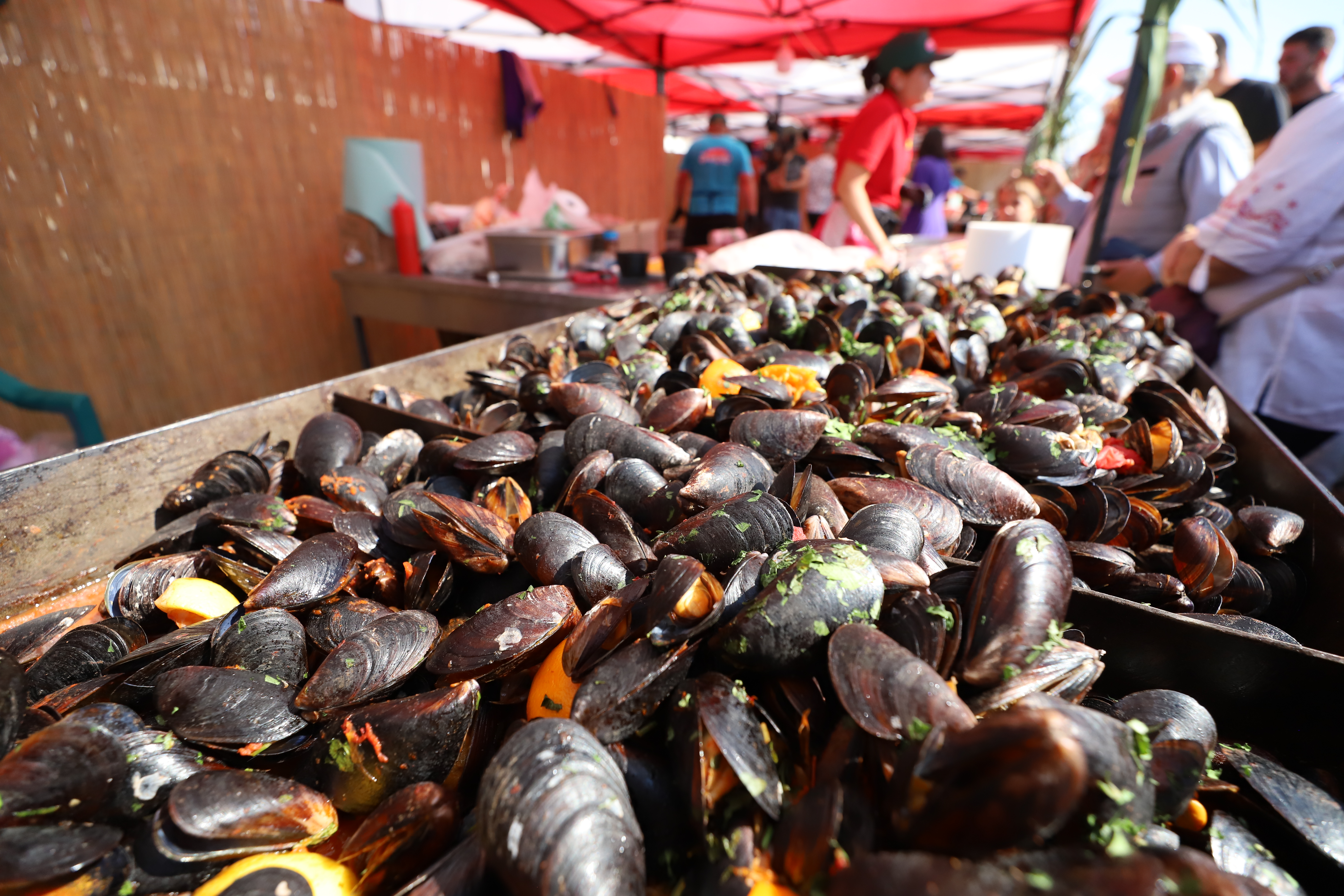 Secrete culinare de la Festivalul Borșului Lipovenesc din Jurilovca. Fără morcov, dar cu ardei și țicore de baltă: „Adevăratul gust îl dau oasele!” | FOTO REPORTAJ