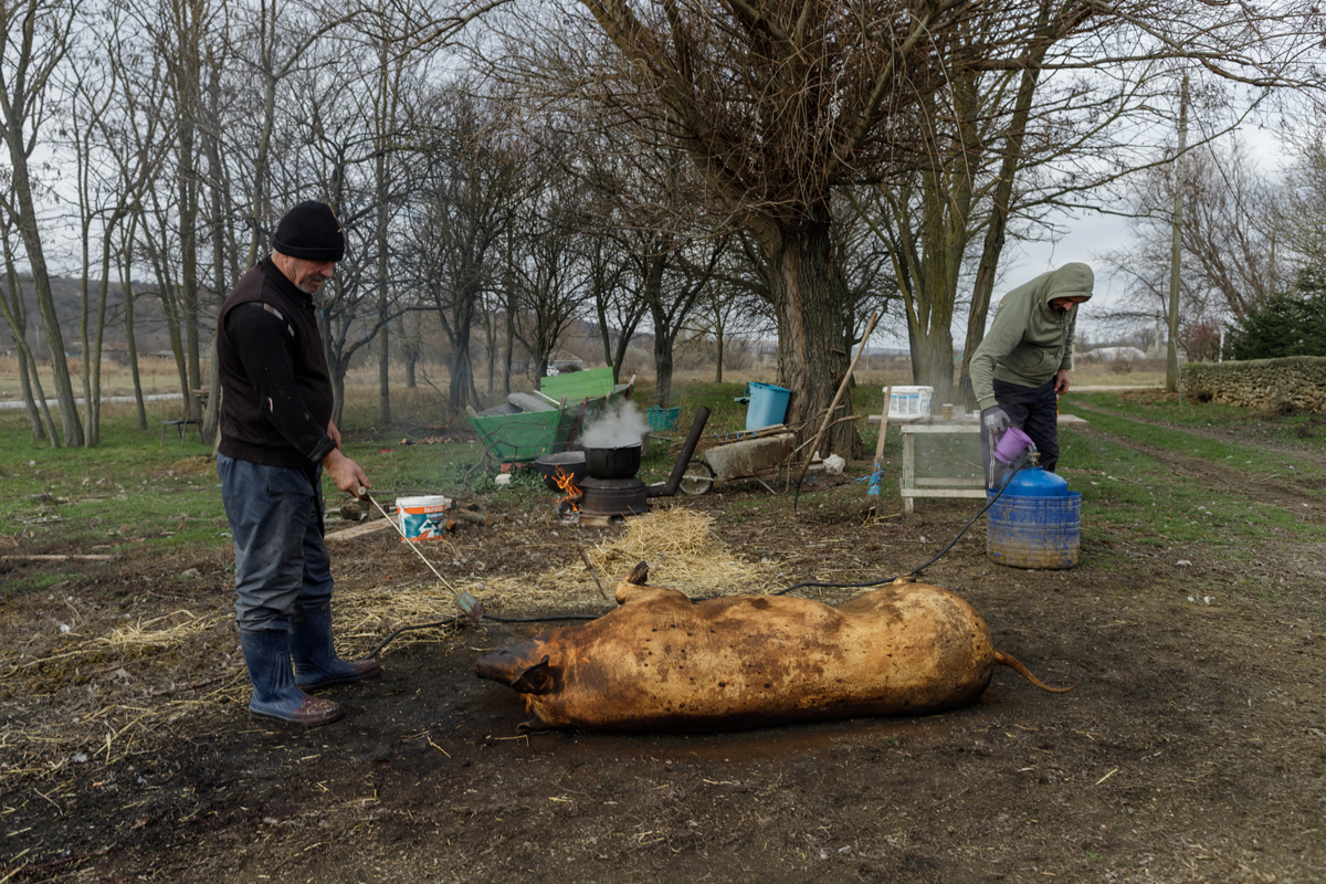 Românii au repopulat un cătun aproape părăsit de tătari. Acum, în satul Gherghina se taie porcul de Ignat și se ține Crăciunul