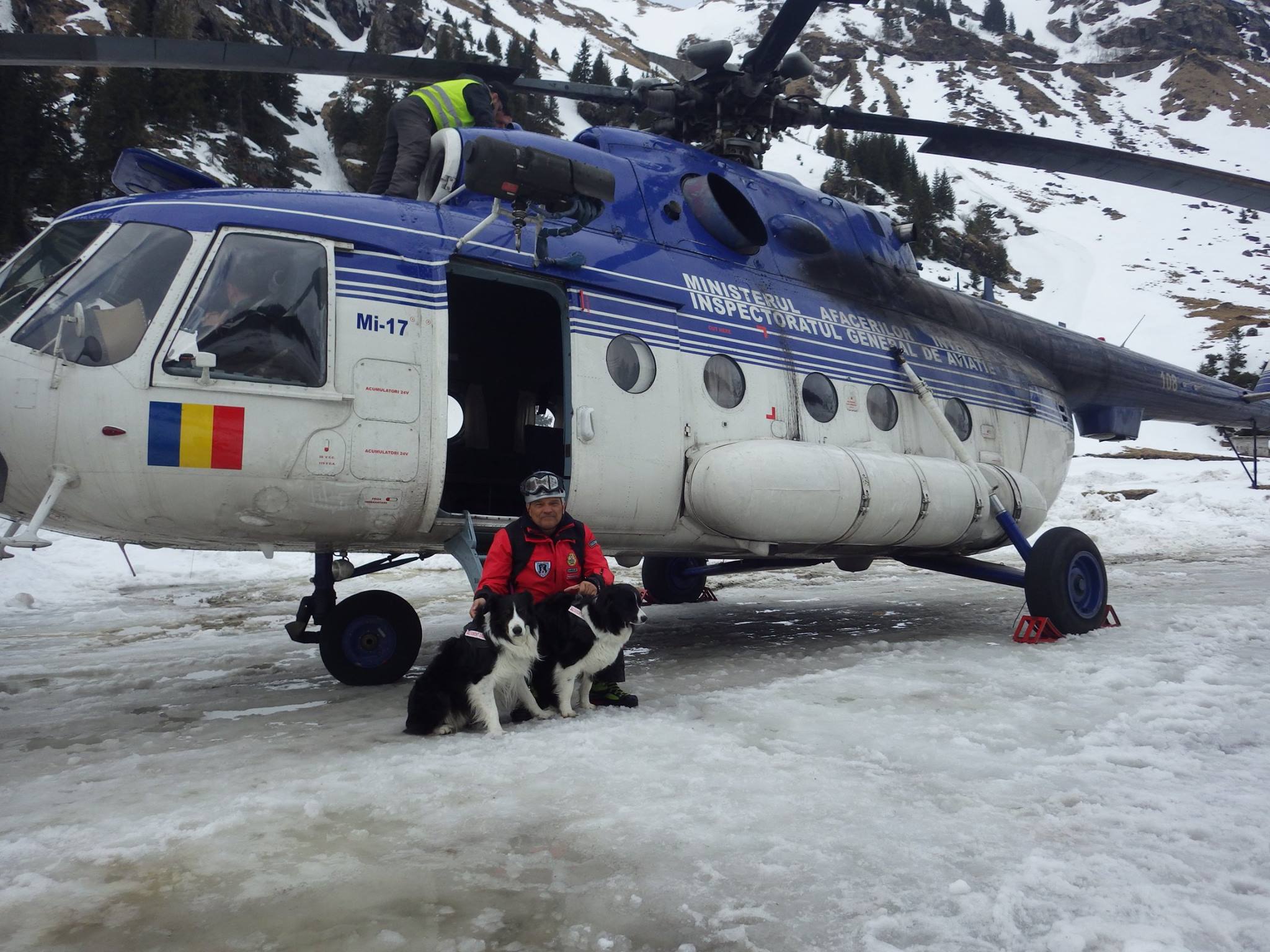 REPORTAJ/Povestea câinilor de avalanșă Helios și Dara sau încrederea de nezdruncinat dintre om şi animal: "Unde merg eu, merg şi ei"/ FOTO