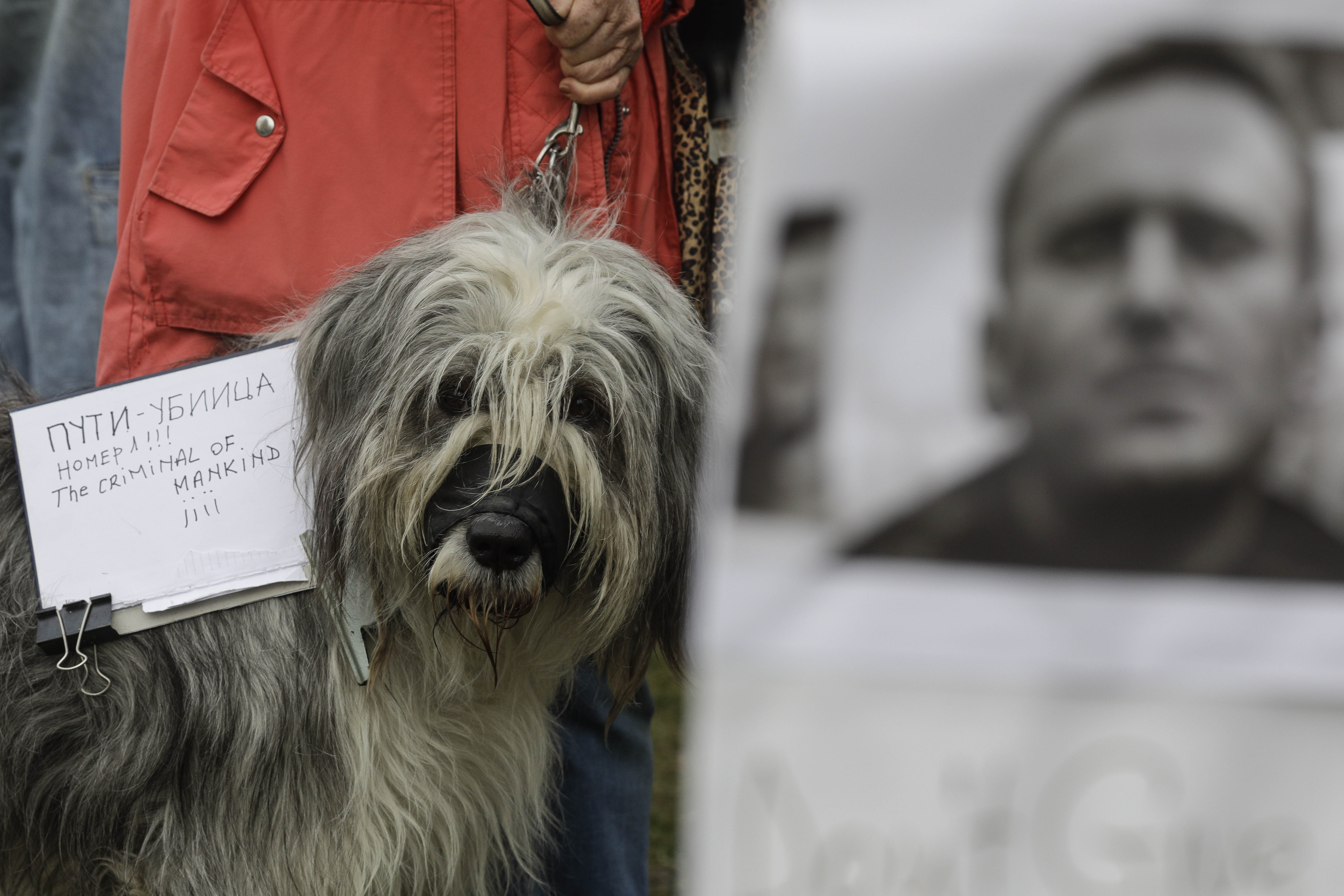„Nu câștigi alegeri libere omorând opoziția”. Zeci de oameni îi aduc un omagiu lui Aleksei Navalnîi la sediul Ambasadei Rusiei la București