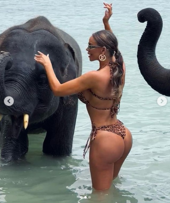 Bianca Drăgușanu, printre tigri și elefanți în vacanța de lux din Thailanda. Nu e singură, ci cu Gabi Bădălău