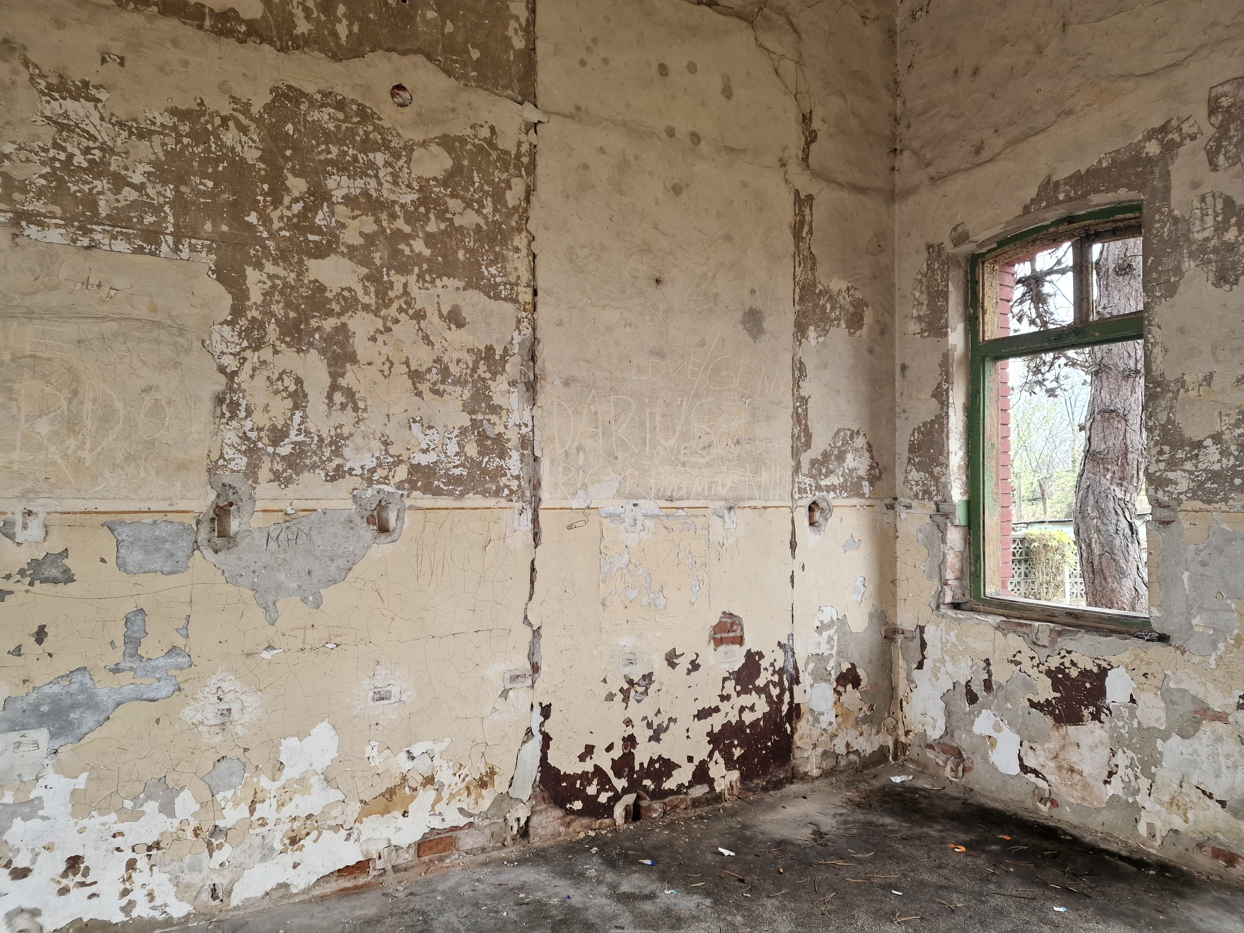 FOTOREPORTAJ. Gara din România pe care o evită și oamenii, și câinii. „Să le vedeţi pe celelalte de pe traseu”