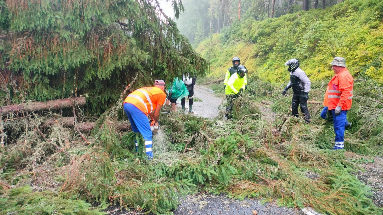 Zeci de mașini blocate pe Transalpina, după ce mai mulți copaci au căzut pe drum, în urma unei furtuni