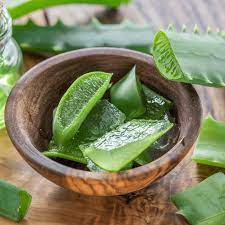 Aloe