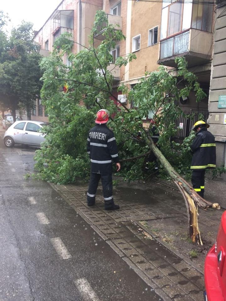 FOTO / Acoperişuri smulse şi copaci doborâţi de vânt, la Arad. S-a înregistrat și un deces