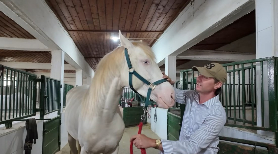 Imagini rare cu proprietatea lui Nuțu Cămătaru. Cum arată domeniul din Ferentari unde sunt crescuți cai și animale exotice