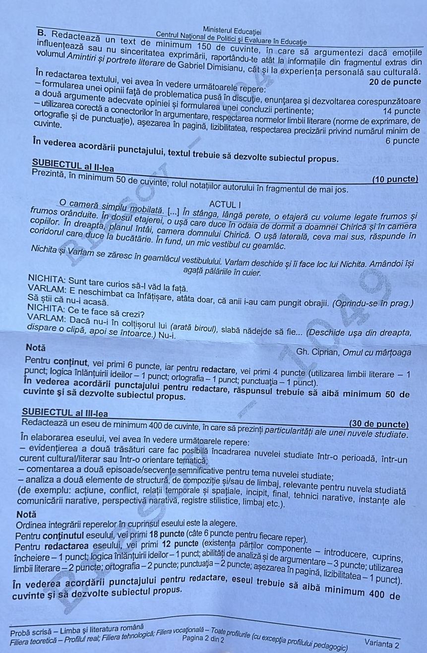 Subiectele la Română la BAC 2024, apărute în presă. Ce a picat la prima probă a examenului de Bacalaureat