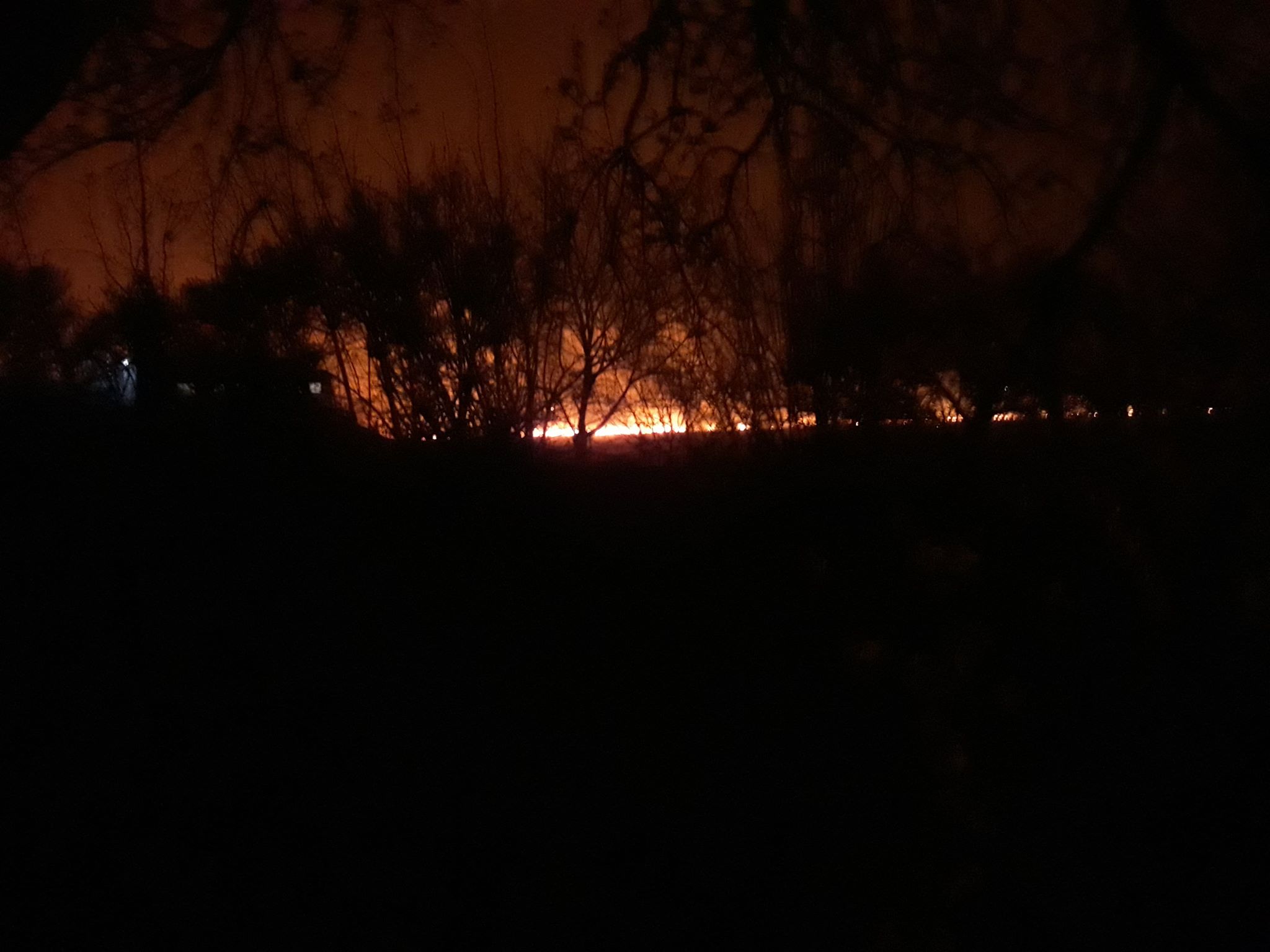 VIDEO Incendiu de vegetație în apropierea caselor din Fierbinți. Au ars 350 hectare de stuf și iarbă uscată: “Ne-am panicat, flăcările erau uriașe”