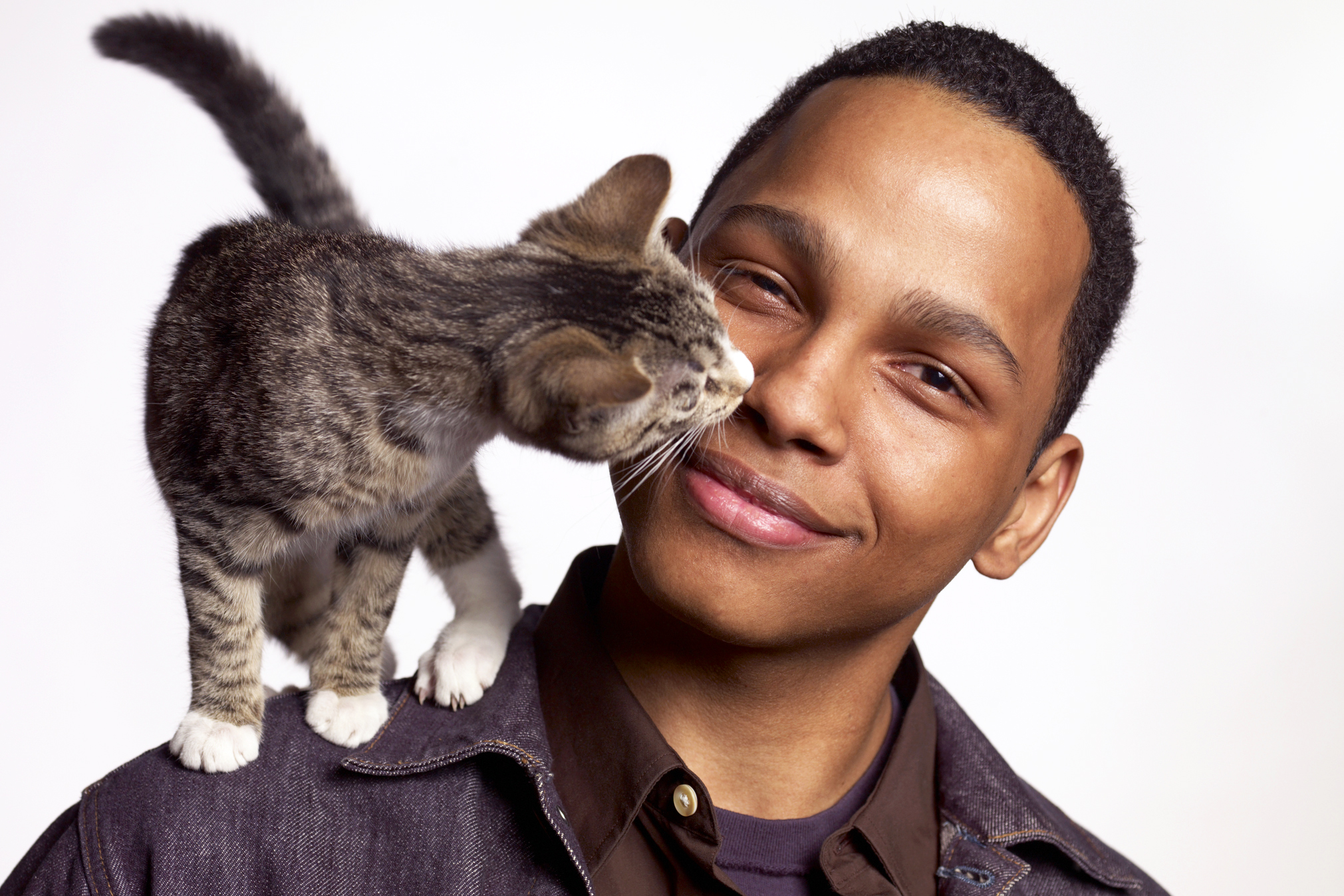 Why does my cat lick me