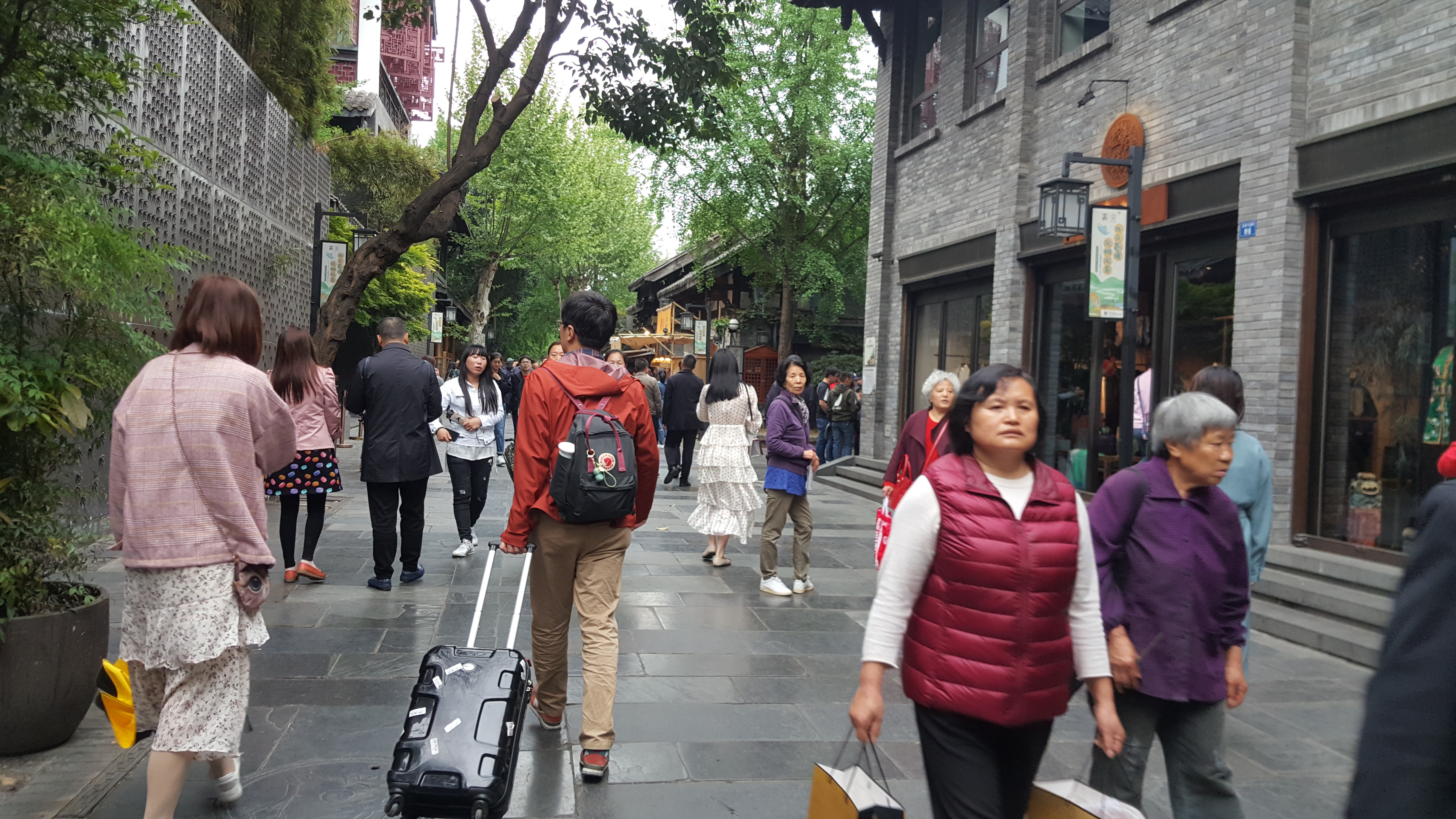 CORESPONDENȚĂ DIN SICHUAN și BEIJING, ULTIMUL CAPITOL | Scriitoarea Doina Ruști, despre plimbarea pe strada unuia dintre cei mai importanți poeți chinezi și excursia la Marele Zid