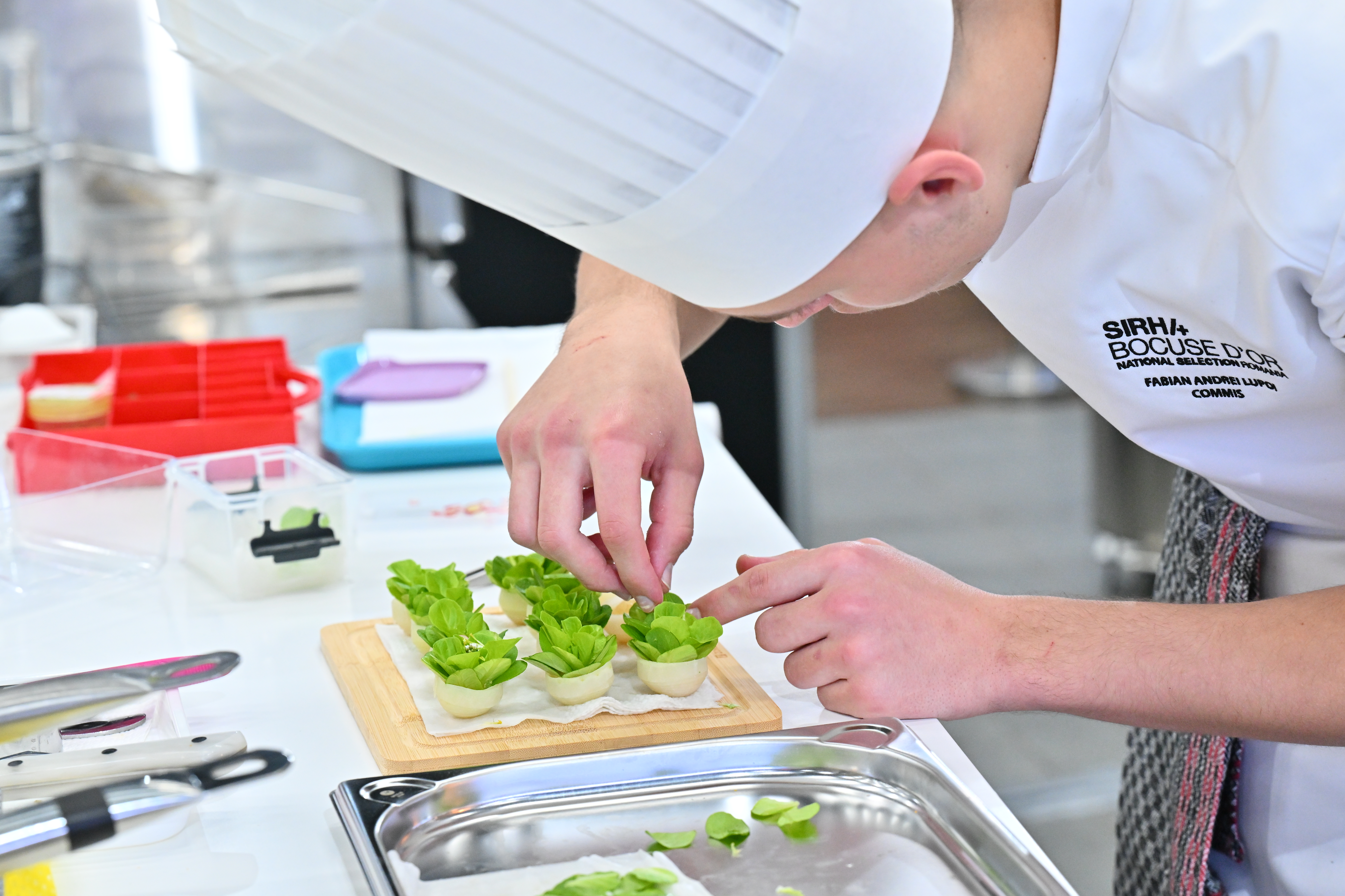 Cum au ajuns românii printre cei mai buni bucătari din Europa. Preparatele care i-au dus pe chefii din țara noastră la „Cupa Mondială a Gastronomiei”