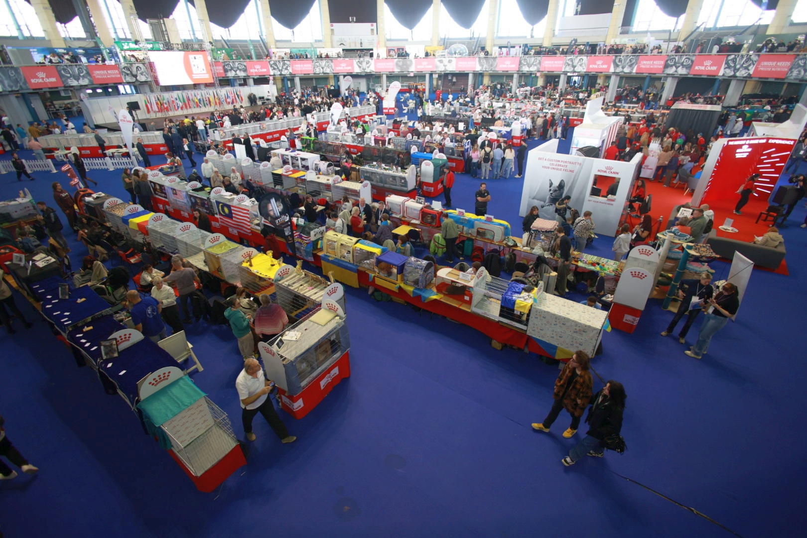 Libertatea a mers la Campionatul Mondial Felin. Bucureștiul, capitala mondială a pisicilor: peste 750 de feline din întreaga lume au strălucit la Romexpo