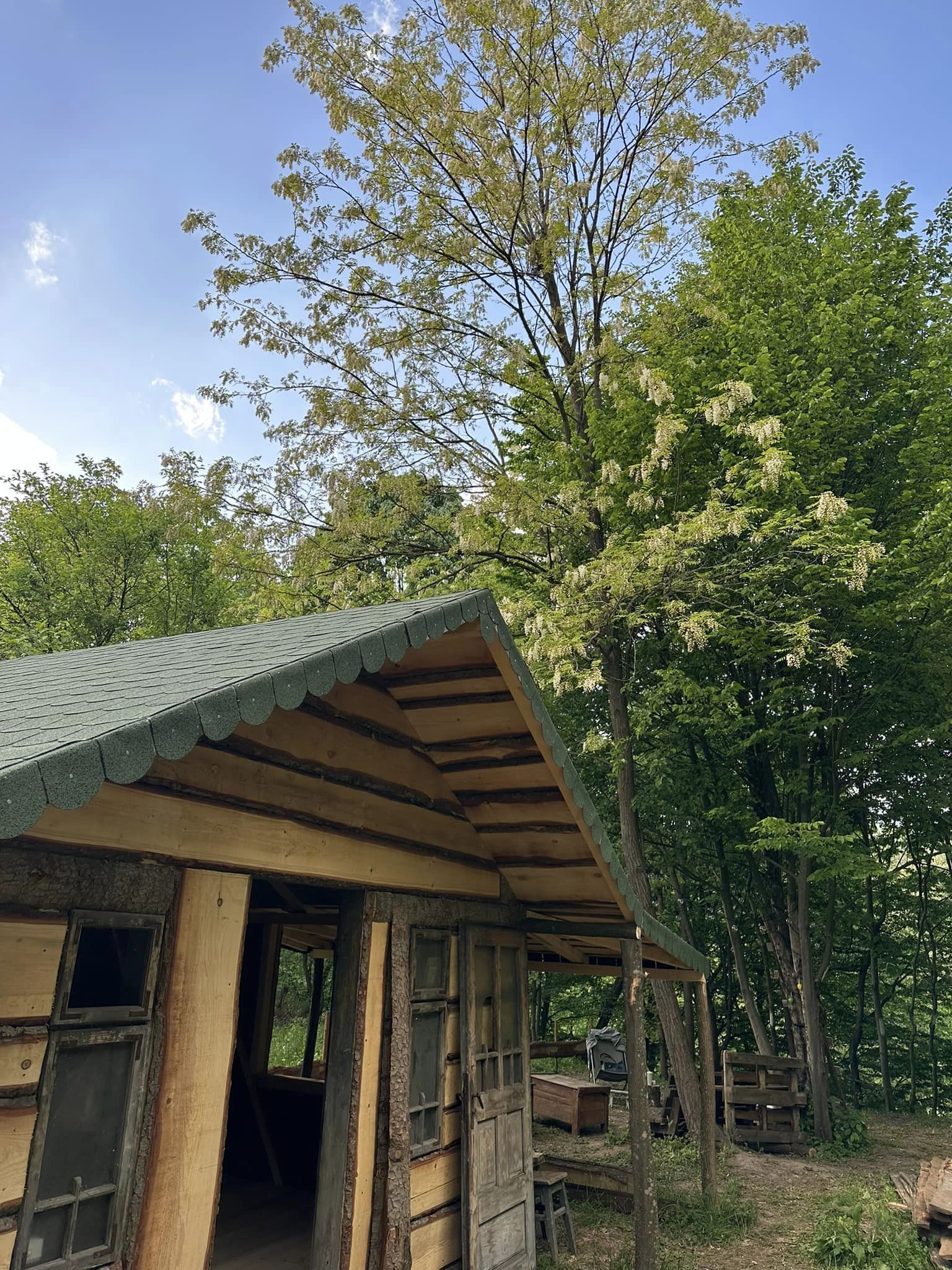 Cum arată cabana din pădure a Mihaelei Bilic după ce i-a pus acoperișul. Și-a amenajat și curtea, unde are hamac
