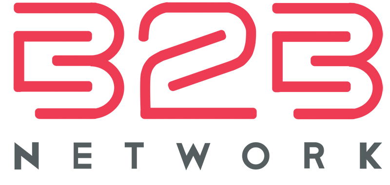 b2b net logo