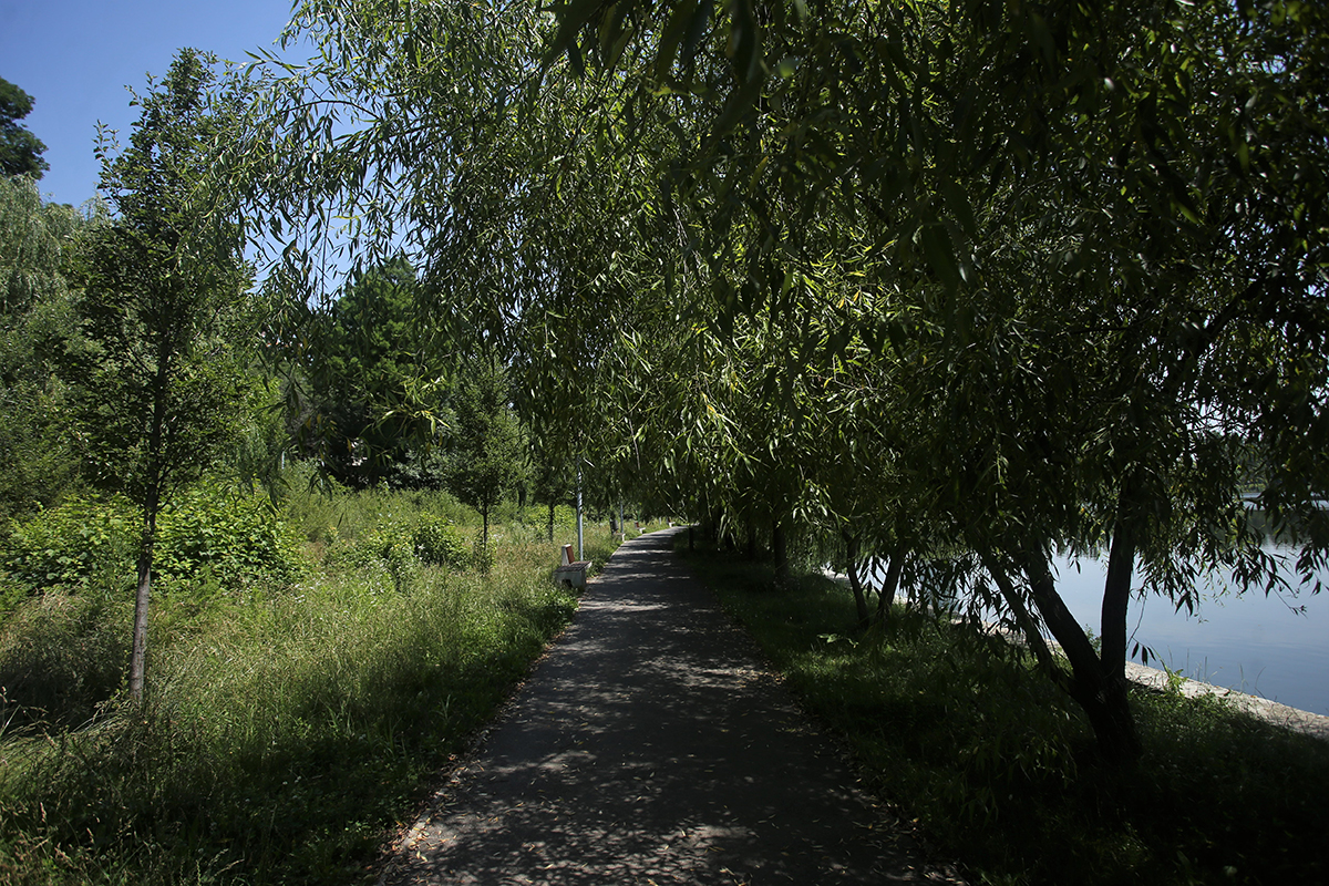 Jungla din nordul Bucureștiului. Cum au ajuns să arate două dintre „oazele de relaxare” ale Capitalei