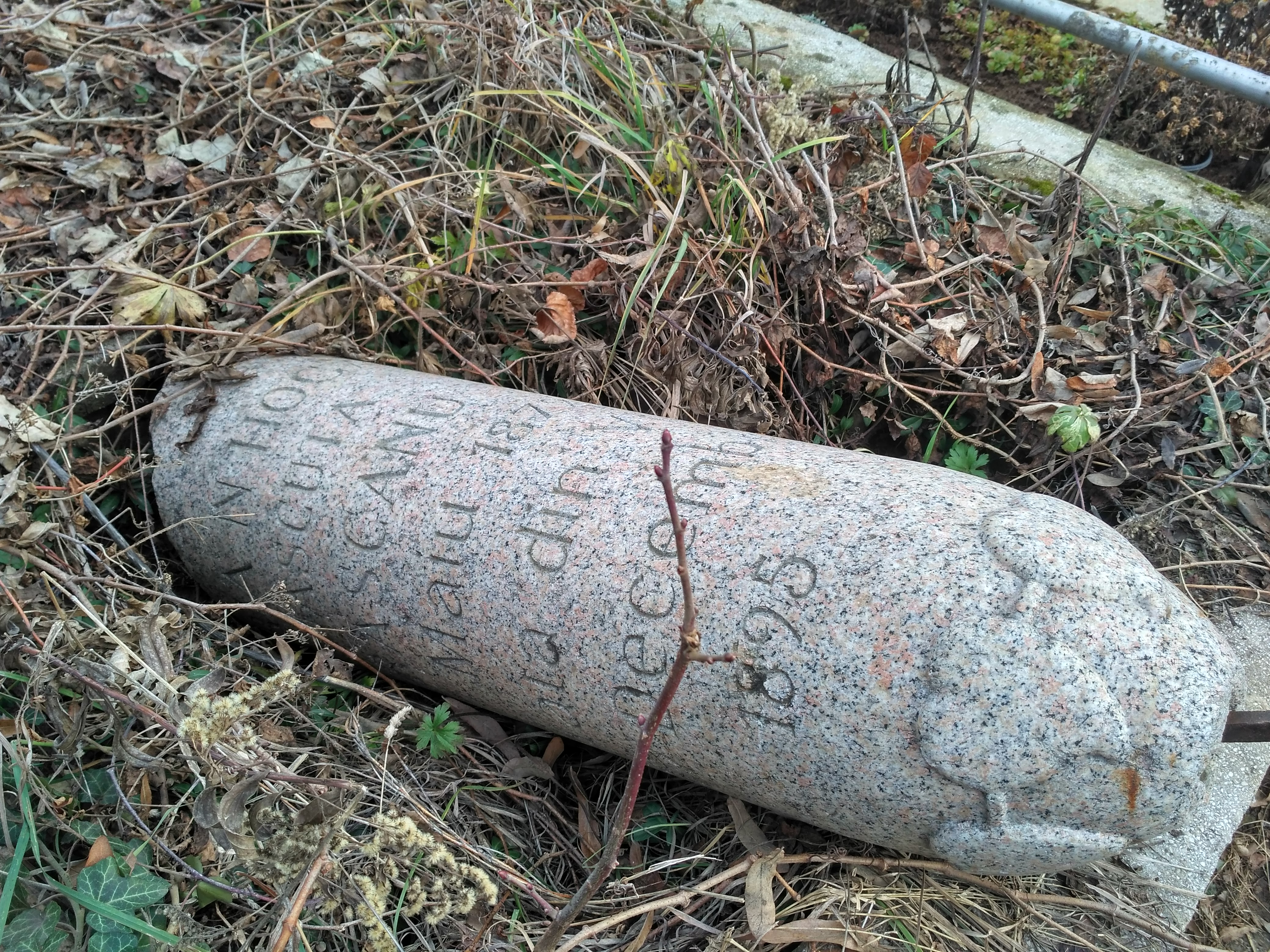 REPORTAJ/Cum a cinstit un ploieștean memoria nevestei care-l înșela. I-a ridicat cel mai original monument: ”Astfel este viața”/VIDEO