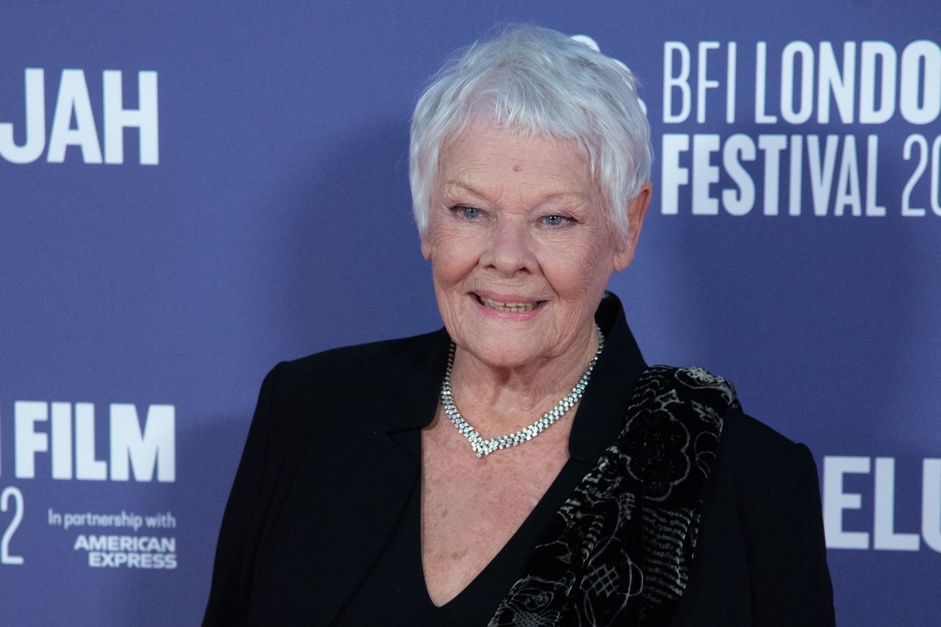 Drama pe care o trăiește Judi Dench. Actrița spune că nu mai vede și nu mai poate citi scenariile