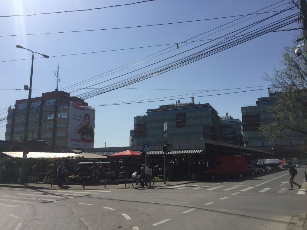 REPORTAJ: Lumea a treia în centrul Timișoarei, în fața unui super-centru de business. De la proiectul exemplu în arhitectură la nepăsare