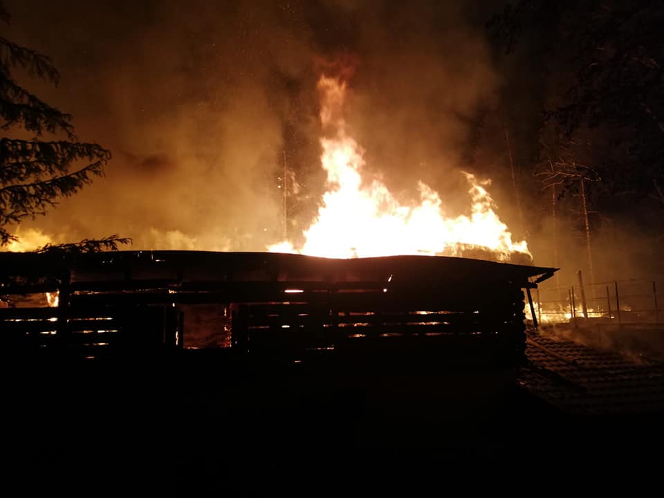 VIDEO | Cabana Cheile Buţii, mistuită de flăcări. O persoană a fost internată cu arsuri