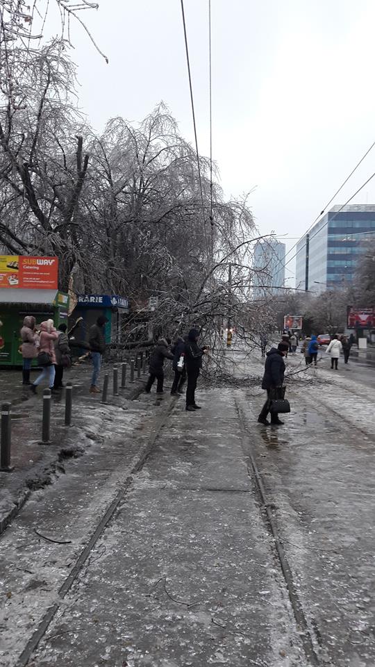 FOTO | Vremea face ravagii: Zeci de copaci doborâţi de vânt și gheață în Bucureşti și 49 de maşini avariate, în ultimele ore. Circulaţia pe anumite linii a tramvaielor şi a troleibuzelor, blocată