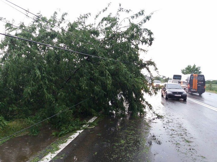Minivacanța de Rusalii aduce probleme în trafic. Coloane de mașini pe DN1, aglomerație în Vama Giurgiu