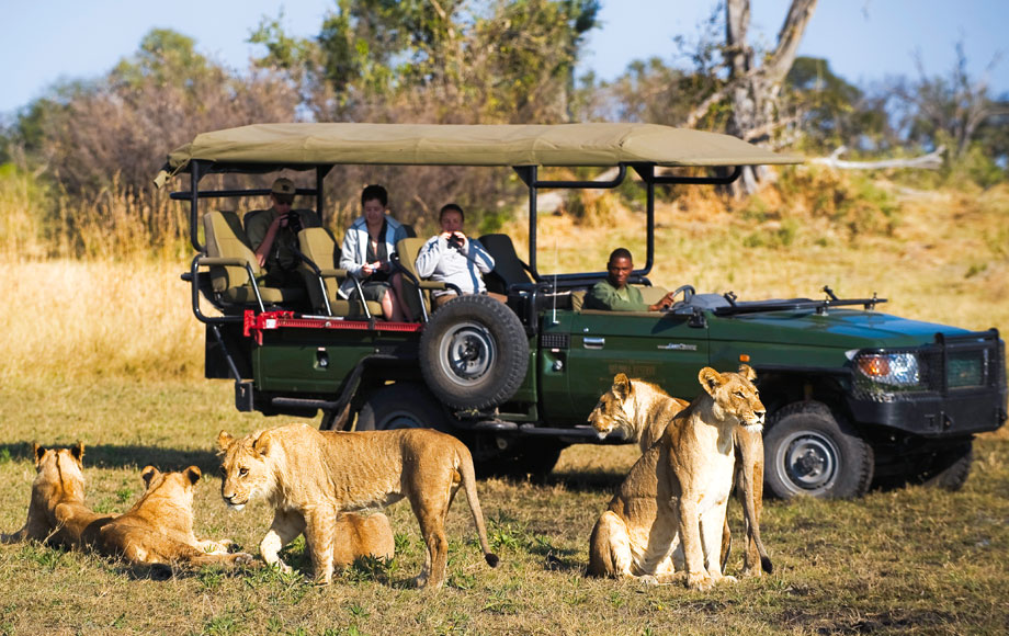 From Indian celebrities to China’s middle class: Asian travellers turn to Africa for the ultimate Safari experience