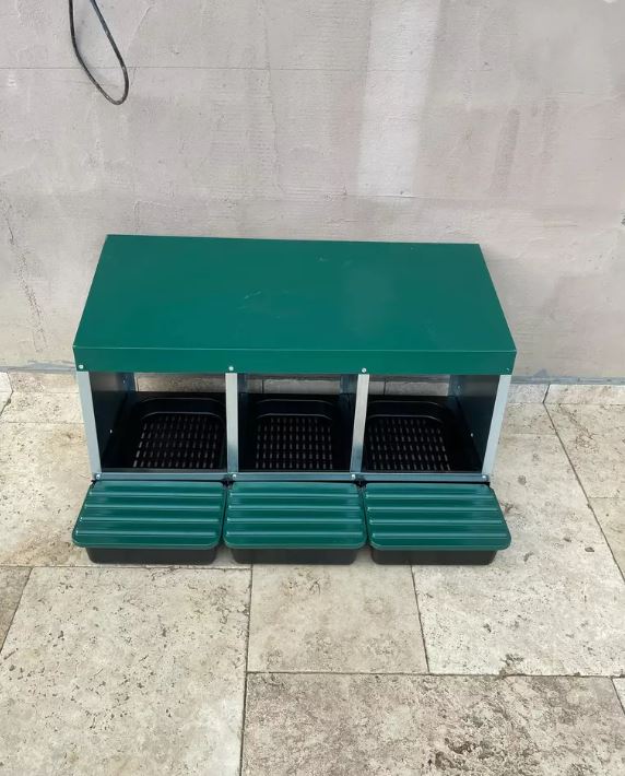 Dragoș Bucur a cumpărat un coteț ultramodern pentru găinile sale. Viața la țară l-a schimbat pe soțul Danei Nălbaru