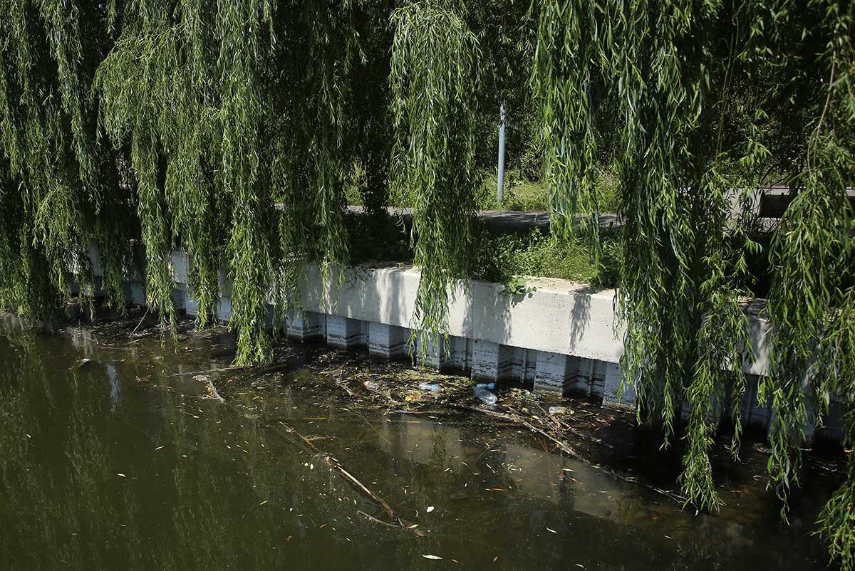 Jungla din nordul Bucureștiului. Cum au ajuns să arate două dintre „oazele de relaxare” ale Capitalei