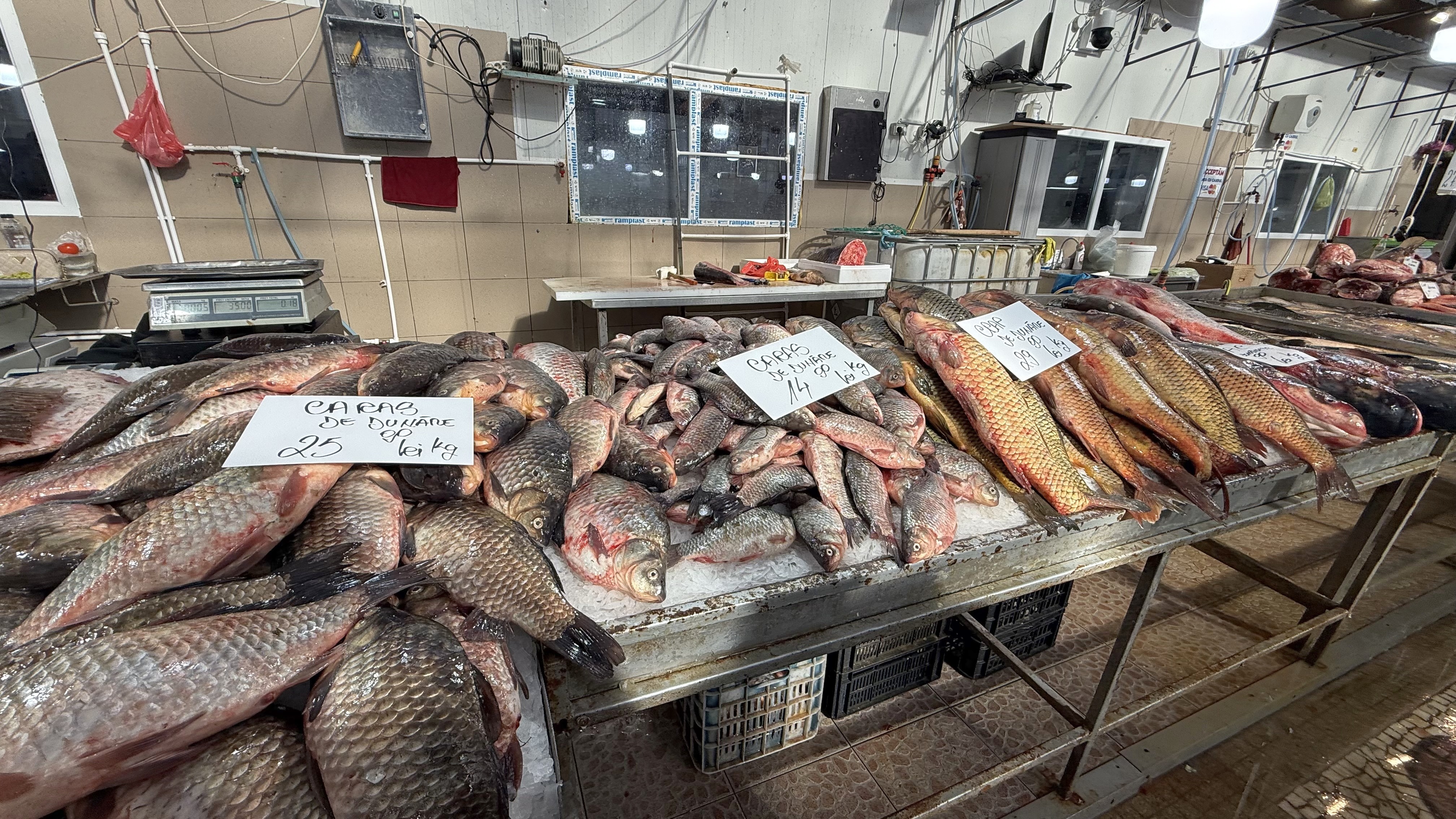 Alertă de prețuri în piețe pentru prima dezlegare la pește din Postul Paștelui. Delicatesa care a ajuns să coste 700 de lei kilogramul