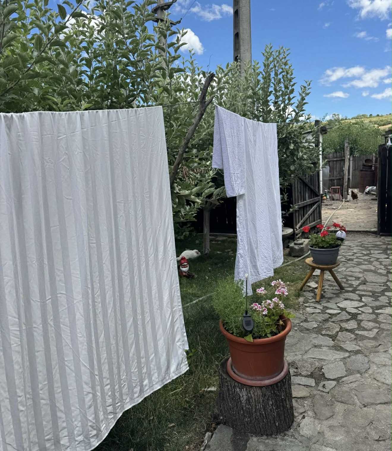 Adela Popescu la Șușani