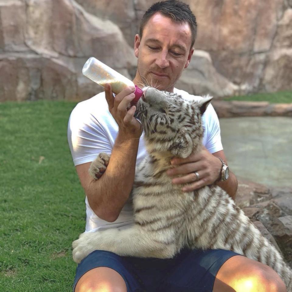 Rashed Belhasa, copilul putred de bogat, prieten al marilor sportivi, are o grădină zoologică în Dubai. Zoo pentru vedete