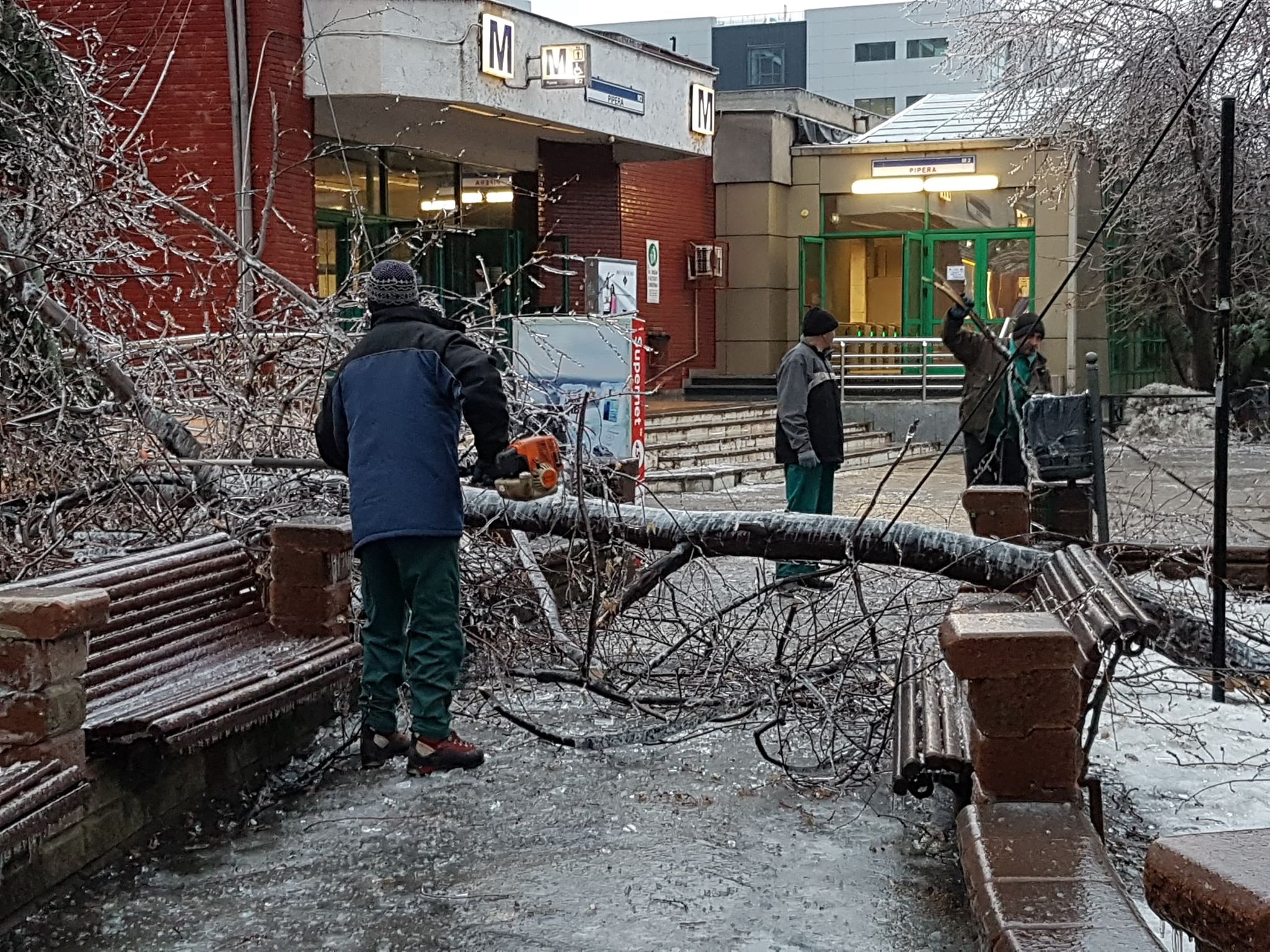 FOTO | Vremea face ravagii: Zeci de copaci doborâţi de vânt și gheață în Bucureşti și 49 de maşini avariate, în ultimele ore. Circulaţia pe anumite linii a tramvaielor şi a troleibuzelor, blocată