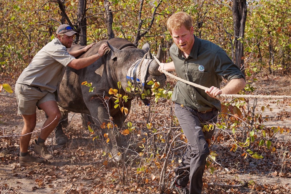 Prince Harry's relationship with Africa dates back to his first visits to Lesotho in the late 1990s