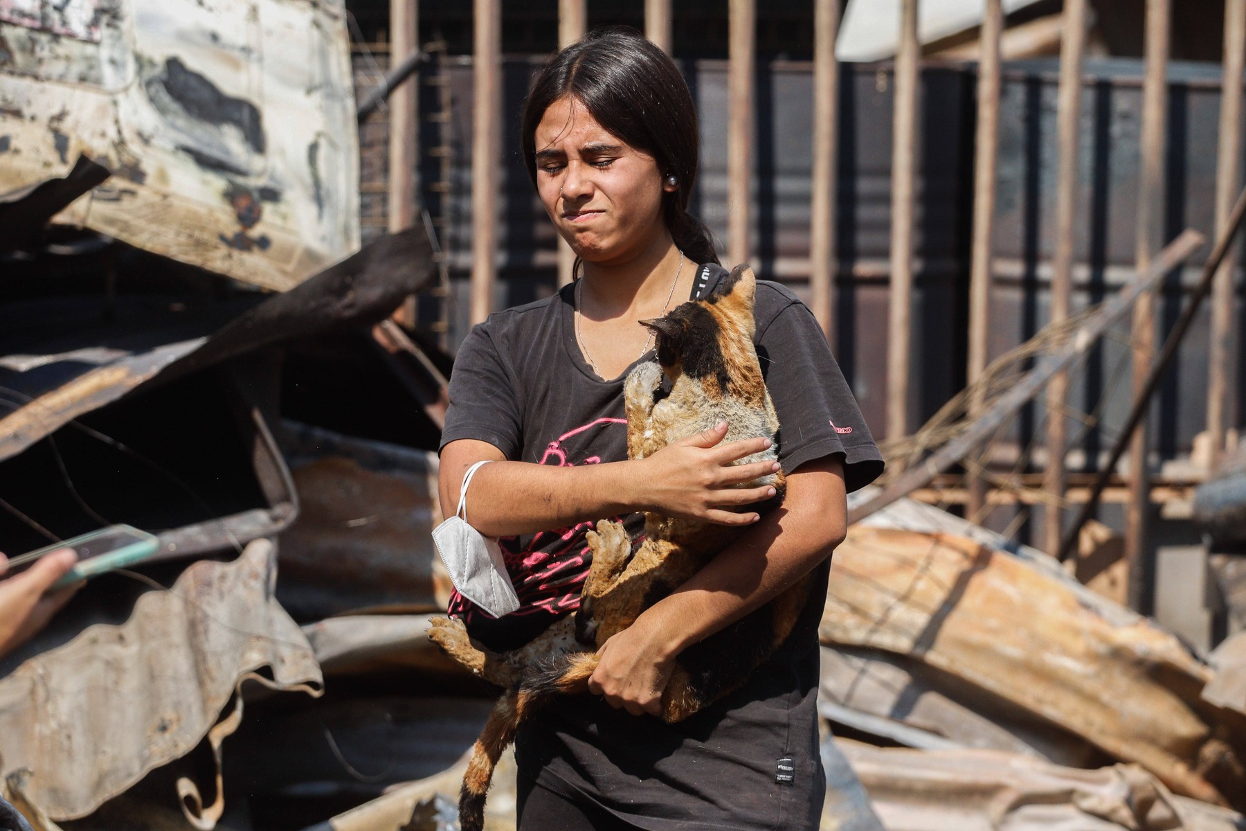 Animalele de companie, victime lăsate în urmă după incendiile din Chile, pe care veterinarii încearcă să-i salveze. „E o tragedie mult mai mare”