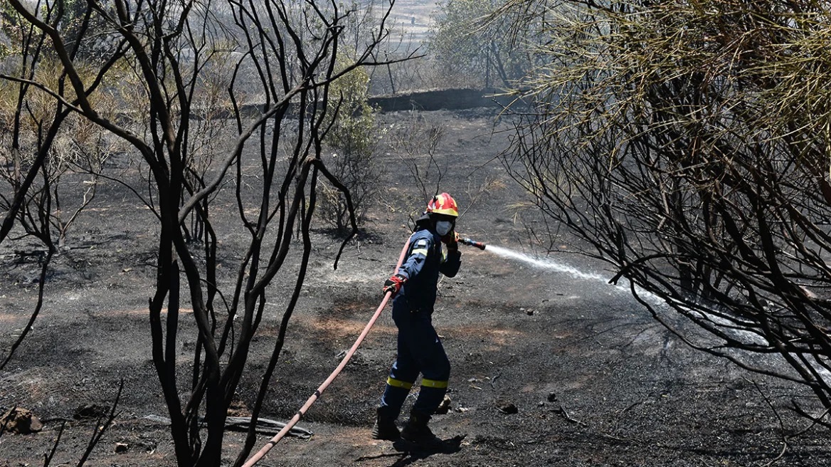 Imagini dramatice cu pompierii români care se luptă cu flăcările, pe crestele dealurilor din sudul Greciei: „Cel mai mare dezastru din ultimii 10 ani”