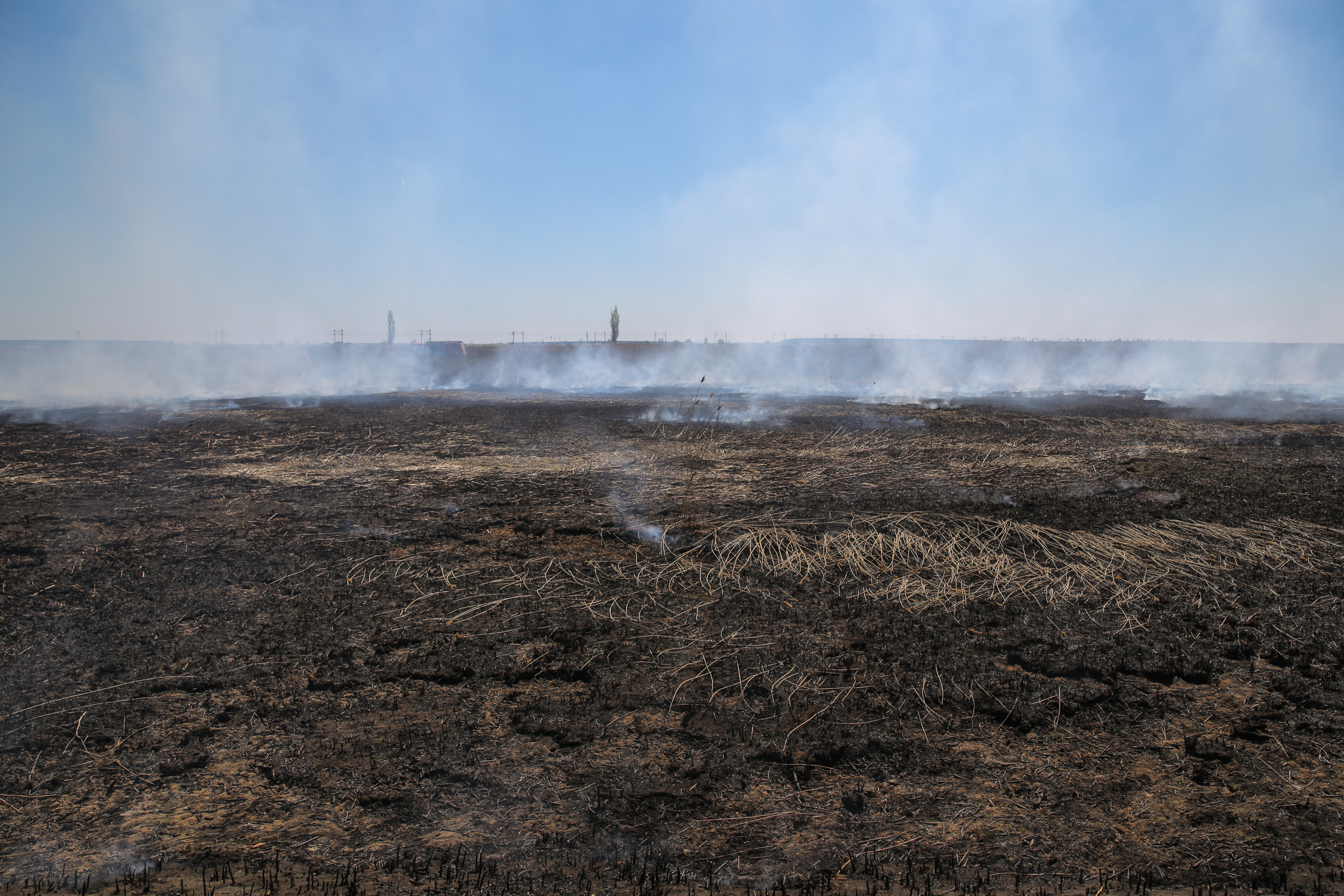 Incendiul care a poluat miercuri Bucureștiul. Cum a ajuns fosta fermă de porci din Periș, care a avut legături cu Liviu Dragnea, un dezastru ecologic