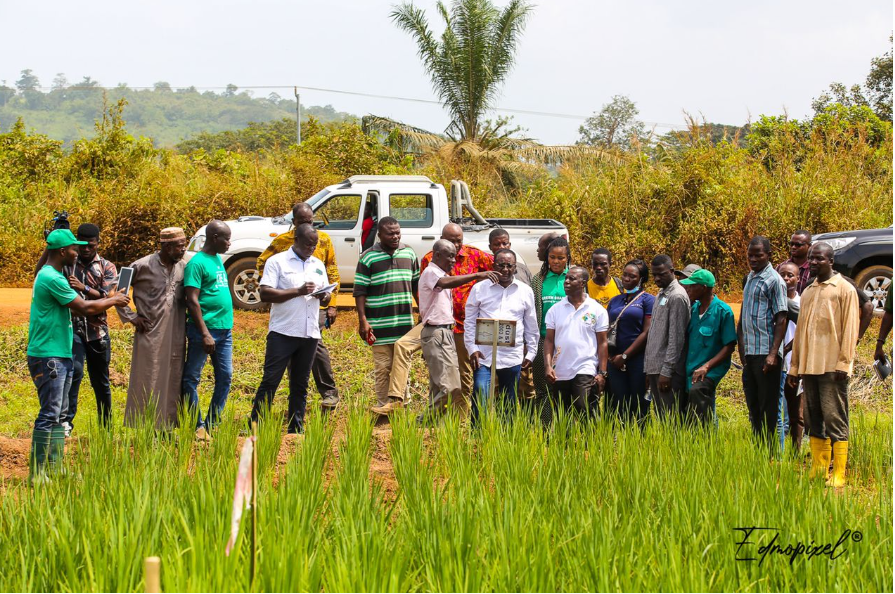 The 10 African countries where food prices will rise the most in 2026