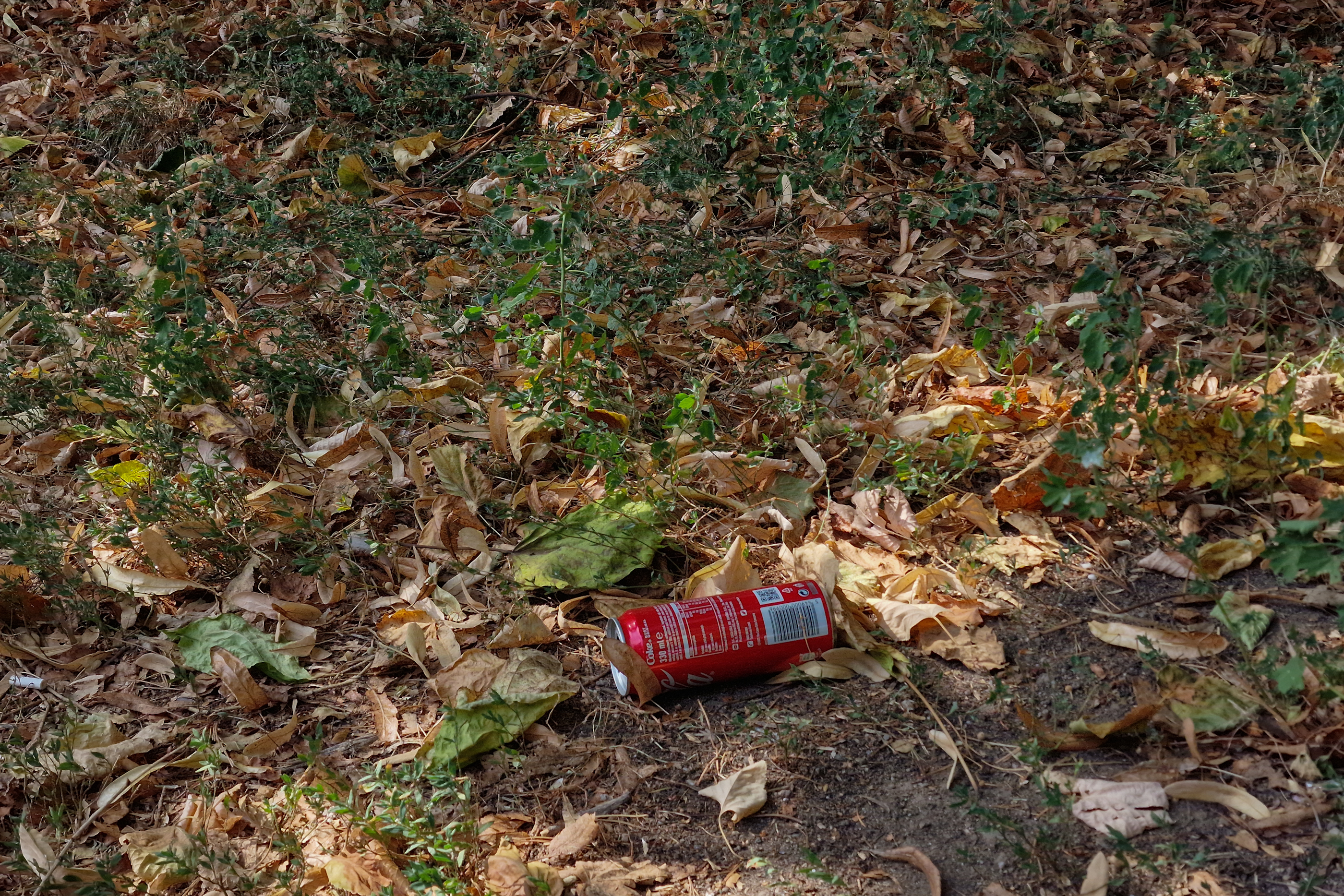 FOTO. În Parcul Circului din București, toată iarba e pârjolită. Rezistă, în schimb, gunoaiele